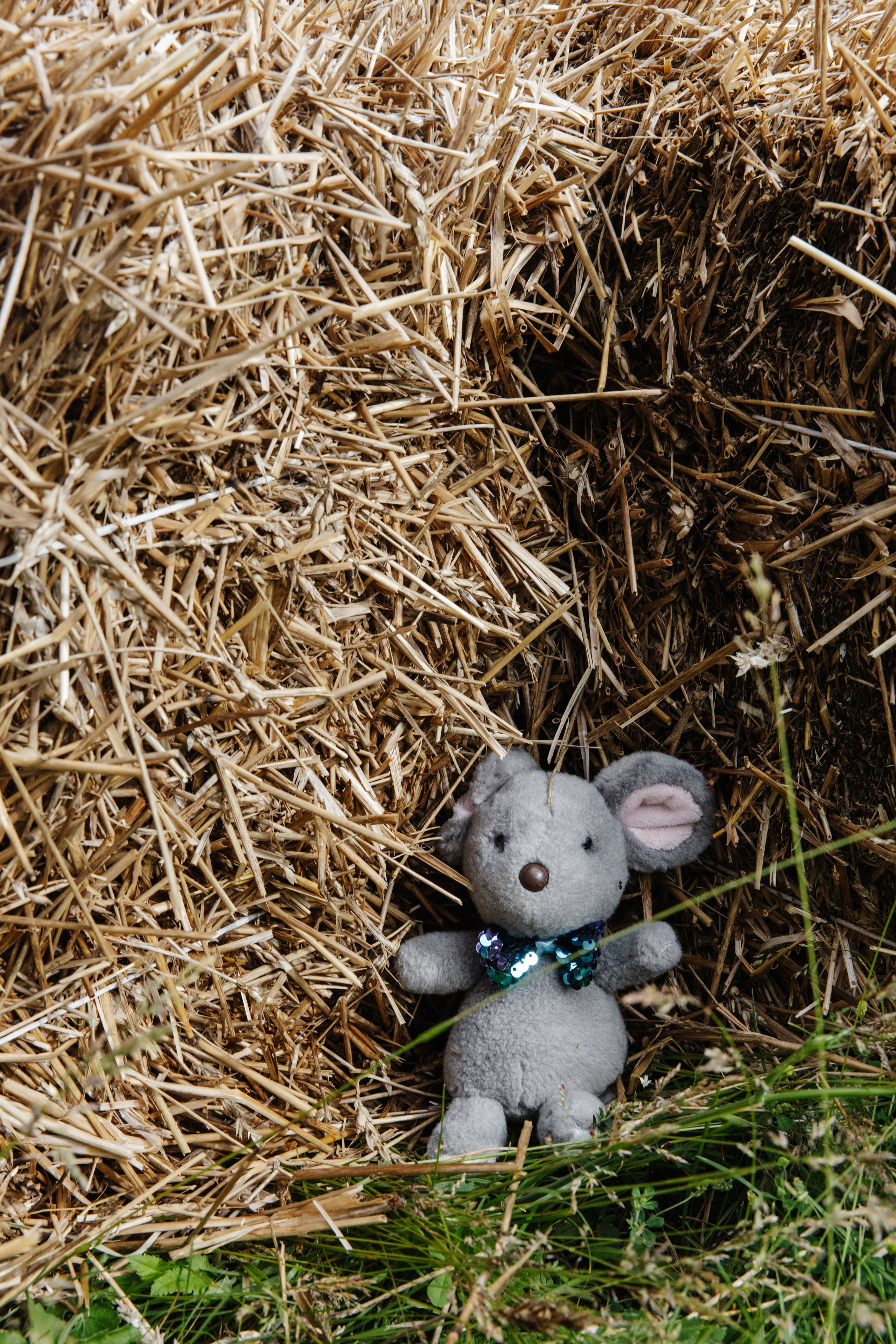 ГЕНДЕР ПАТИ. Фотограф в Красноярске