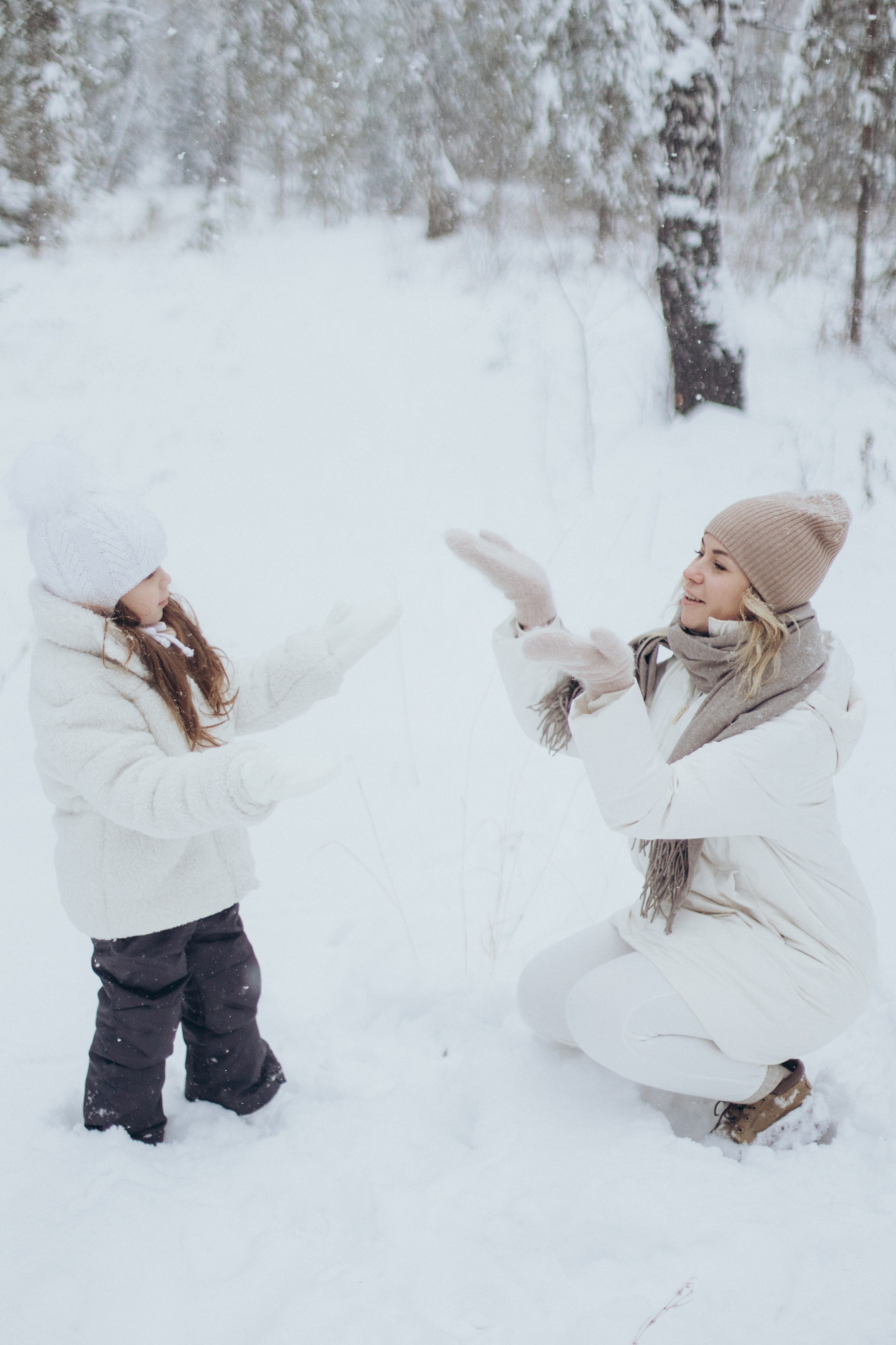 Зимняя история