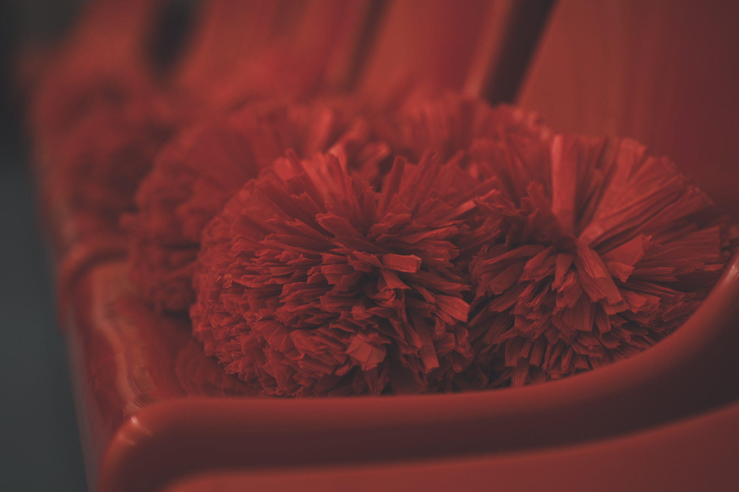 Чир Спорт. Фото