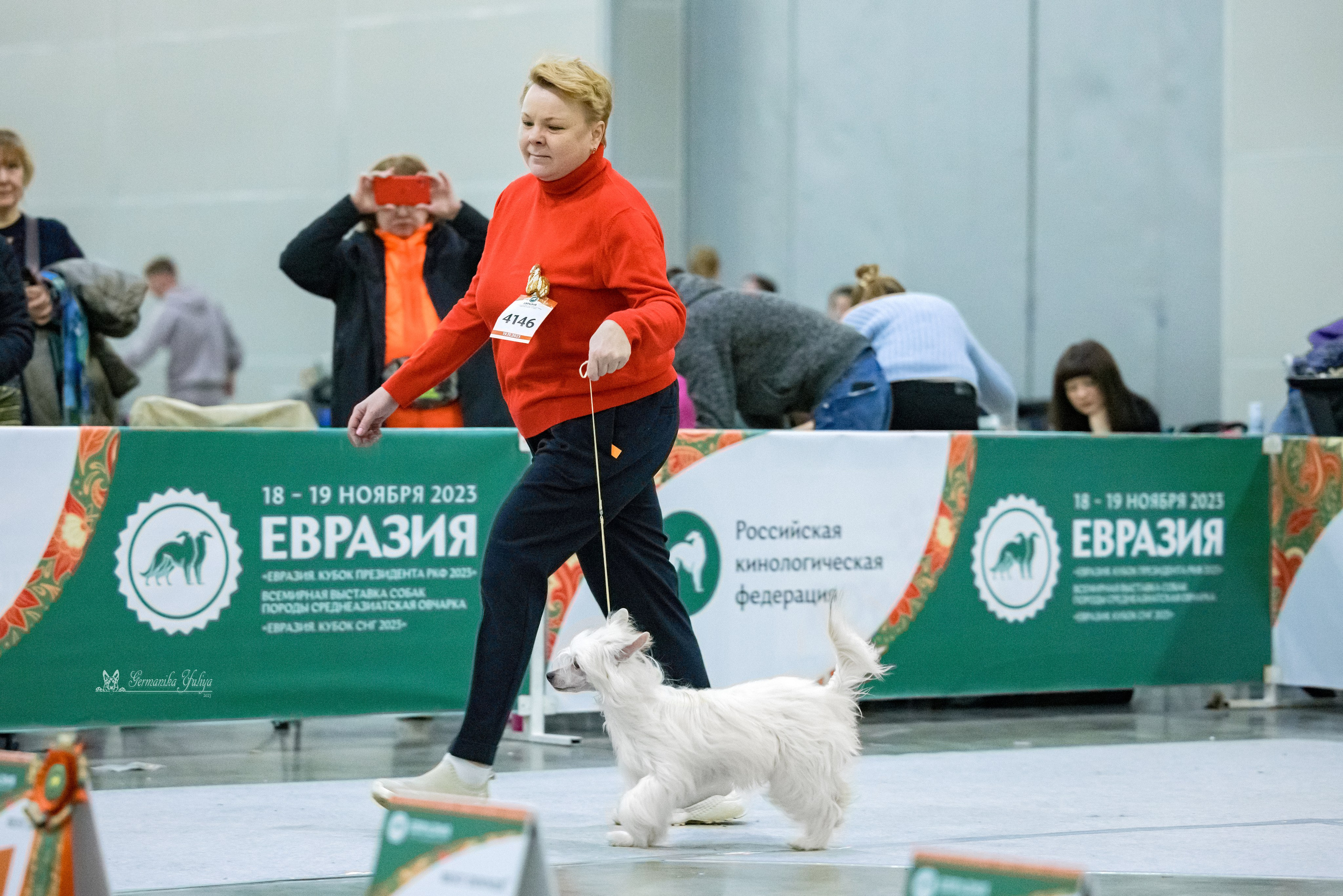 ЕВРАЗИЯ 18-19.11.2023. Фотограф-анималист Юлия Германика