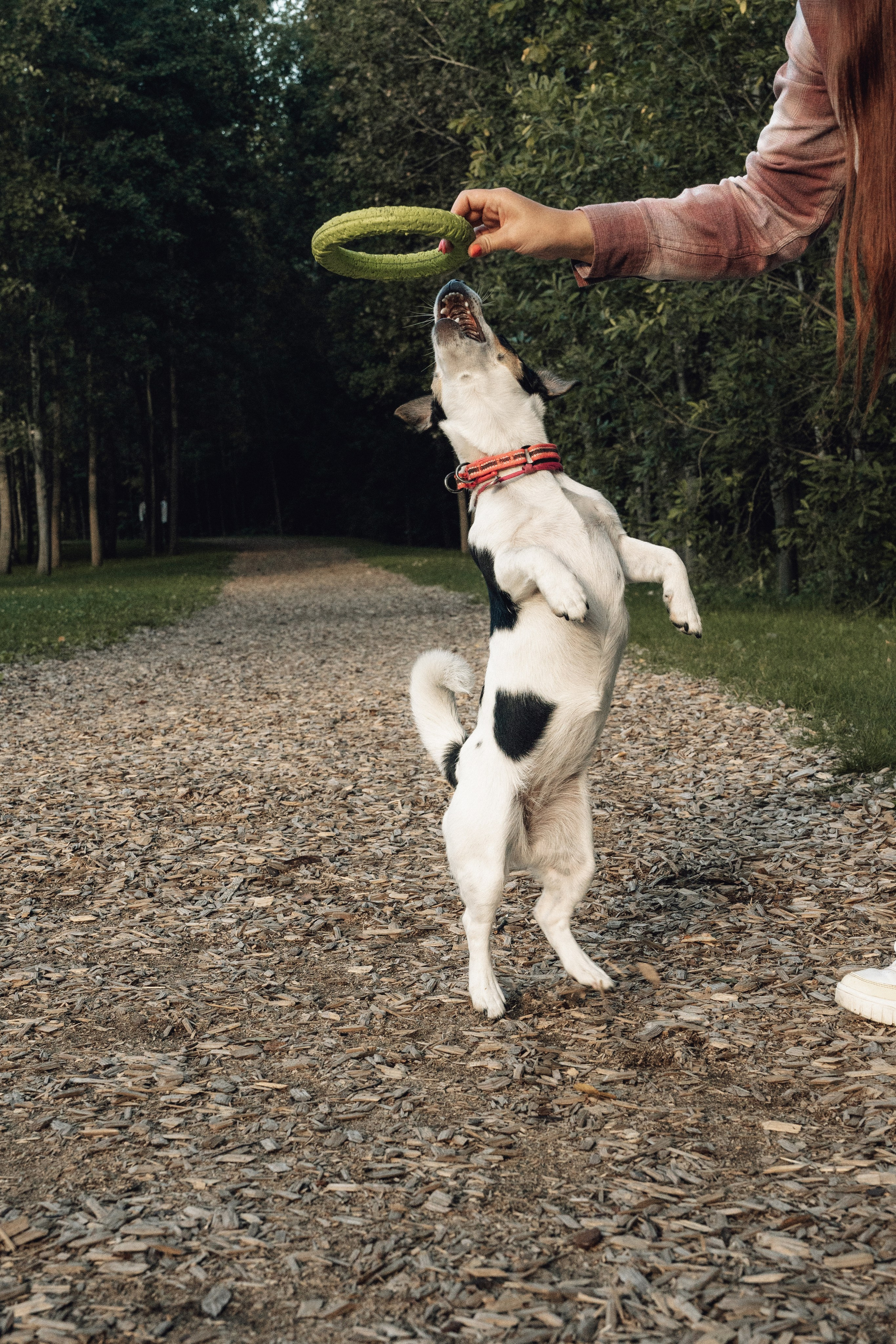 Аня и Луна. Фотограф и видеограф в Тюмени Екатерина Чернецкая