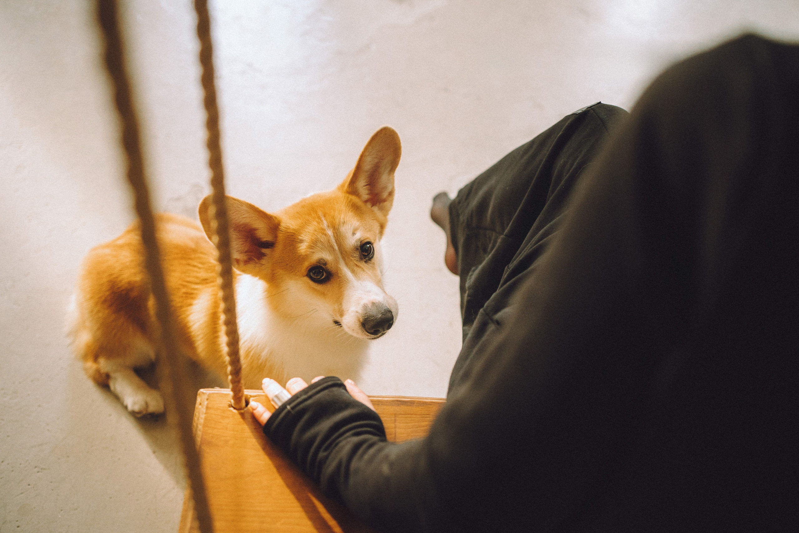 Наталья, Евгений и Мерлин