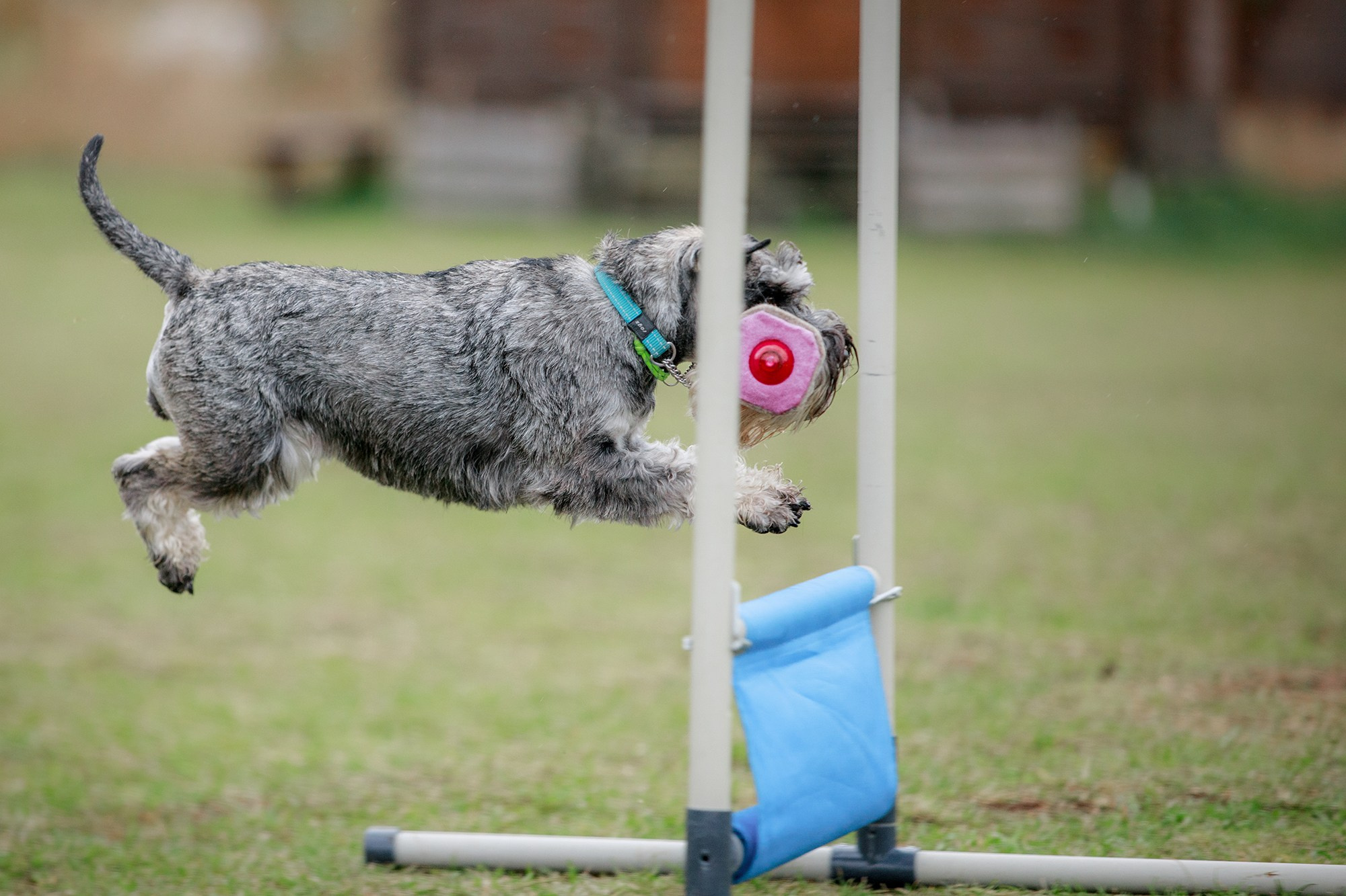 Лагерь по ОБД с Инной Баженовой. Фотограф-анималист Mary Mart — Москва, Питер