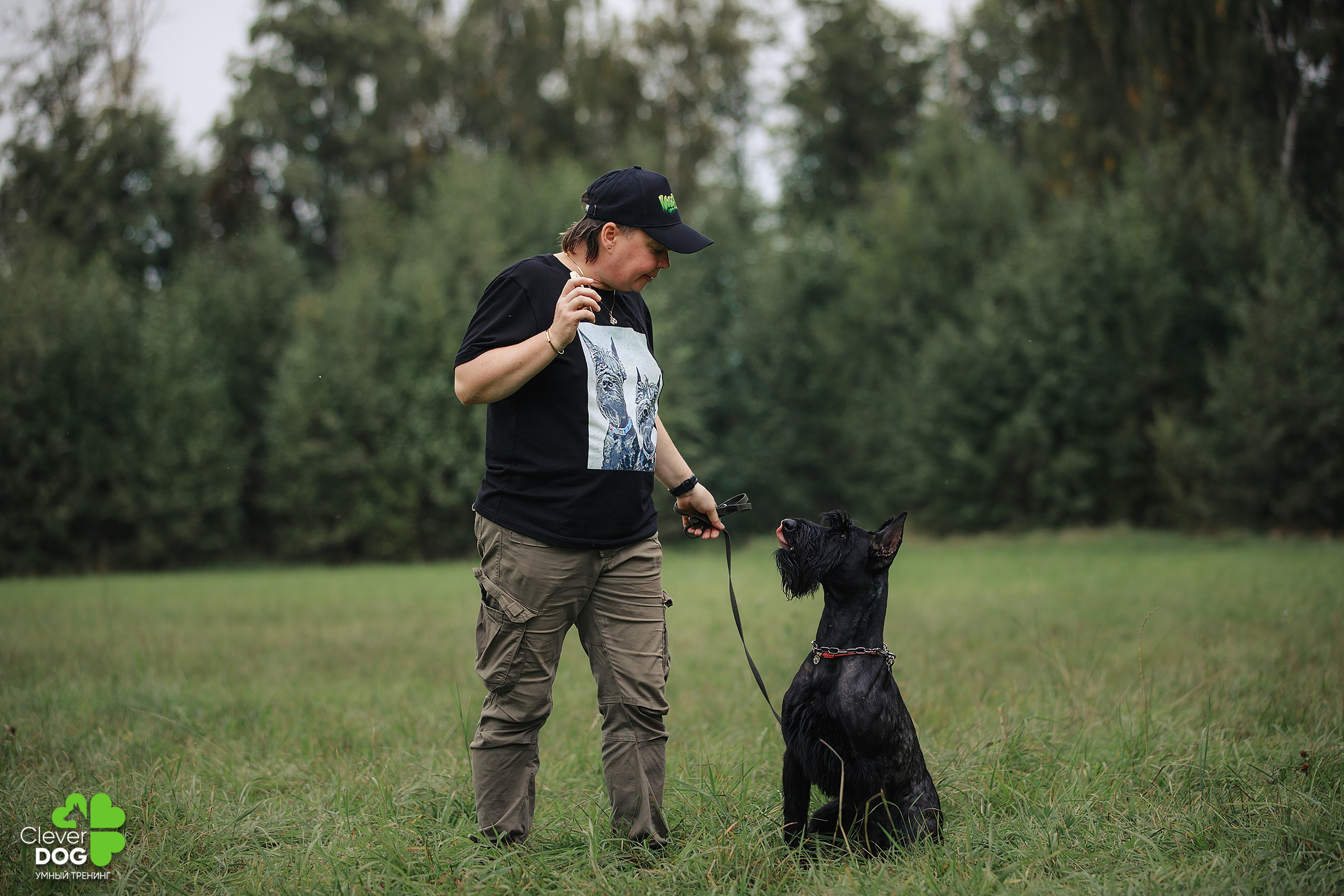 Кинологический лагерь CleverDog, 2024. Фотограф-анималист Mary Mart — Москва, Питер