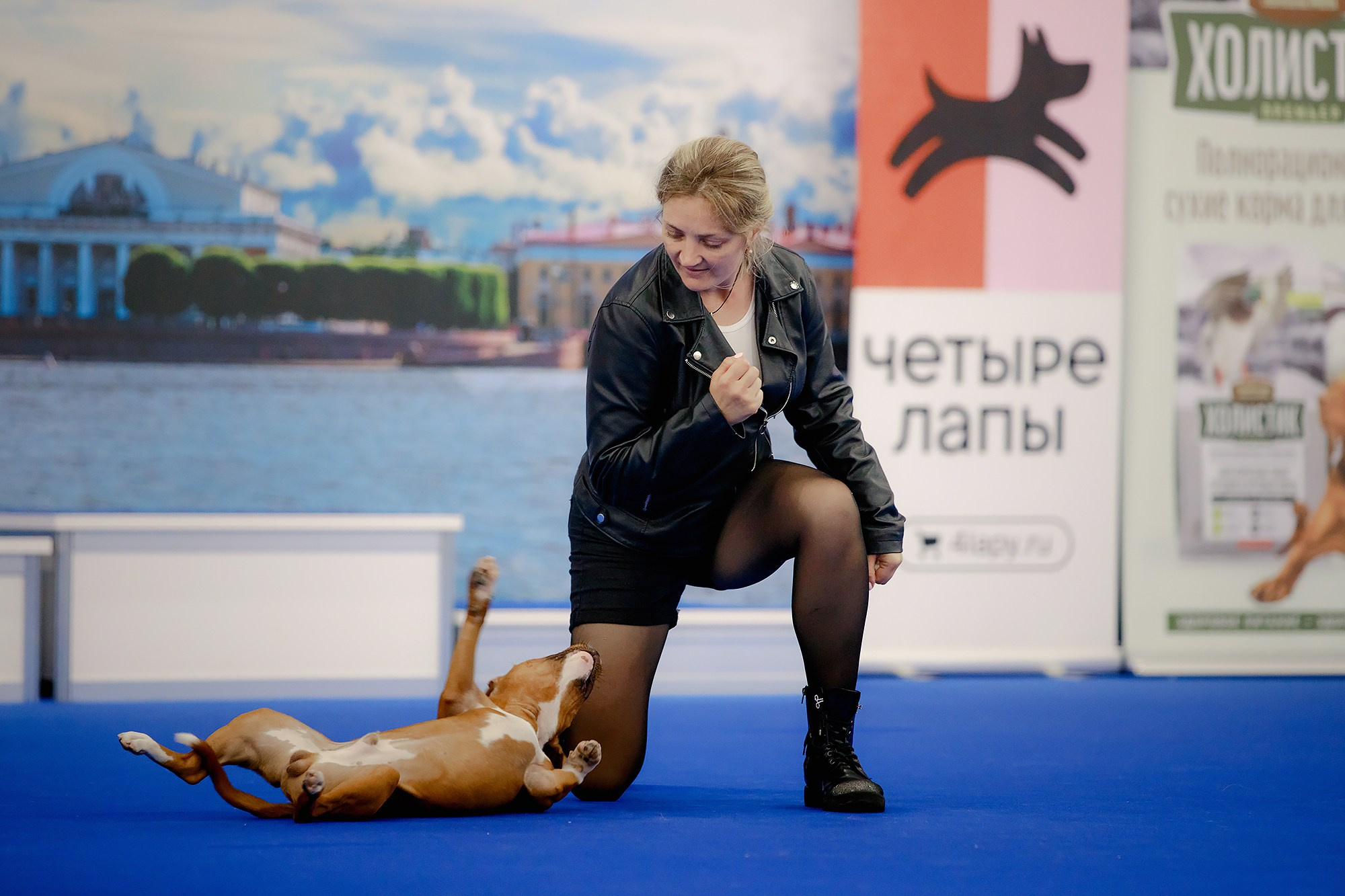 Танцы на выставке «Зоошоу», СПб. Фотограф-анималист Mary Mart — Москва, Питер