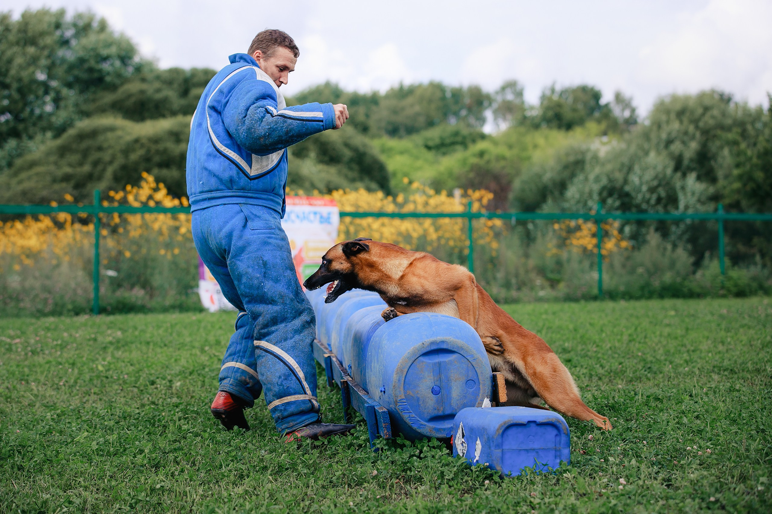 Мондьоринг М1, М2, М3, Вологда. Фотограф-анималист Mary Mart — Москва, Питер