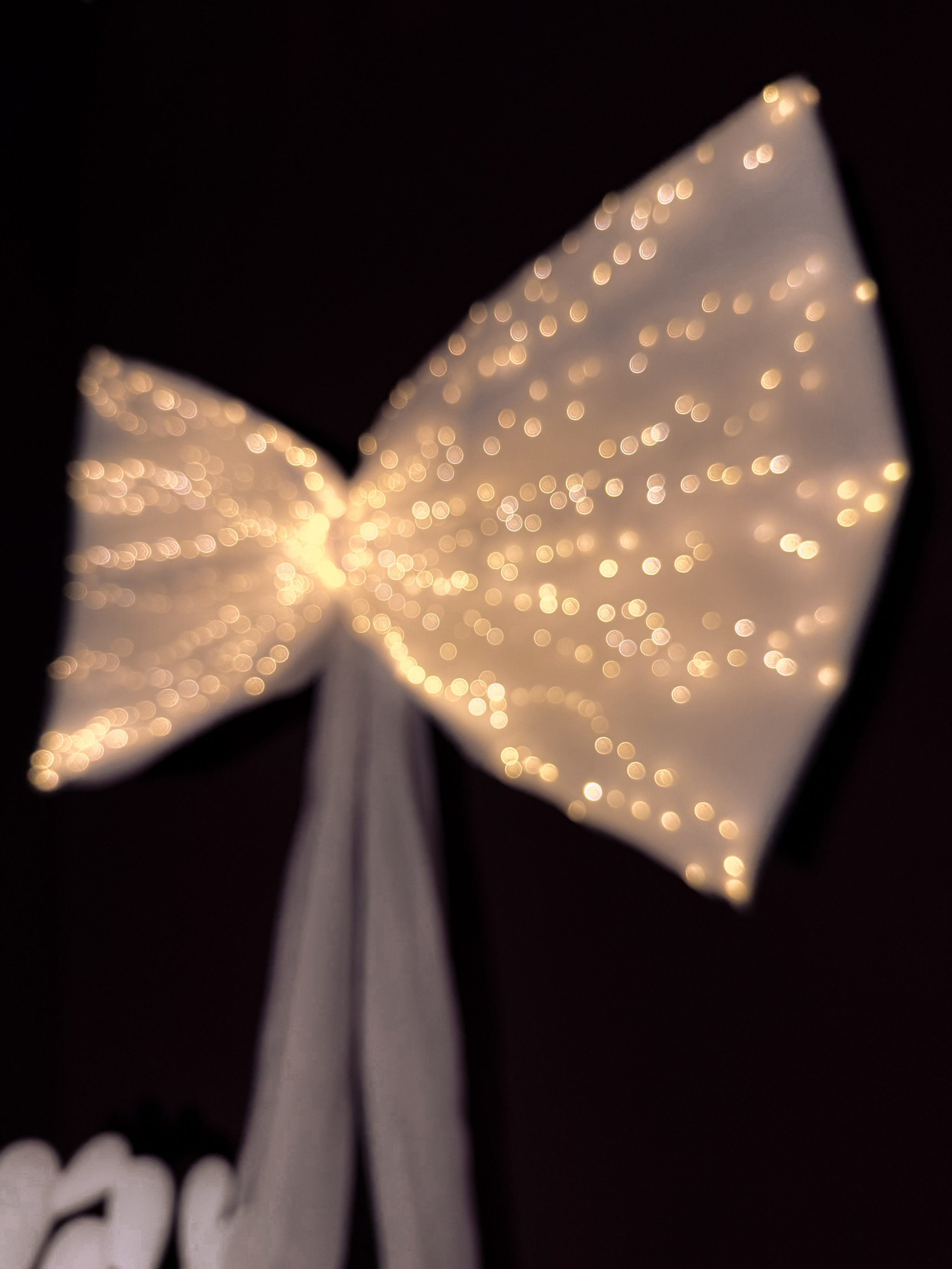 Зал ART * NY 2026. Фотостудия Элис