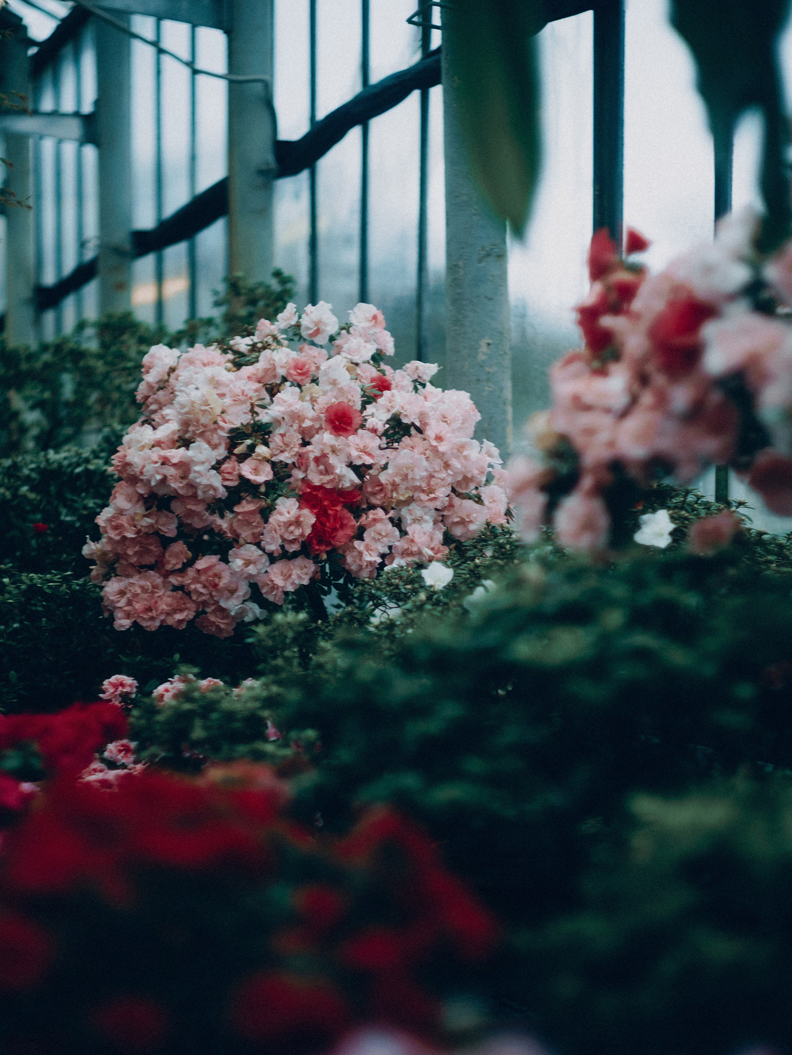 Botanical. Портретный и свадебный фотограф в Москве и Санкт-Петербурге. Учитель фотографии онлайн и оффлайн
