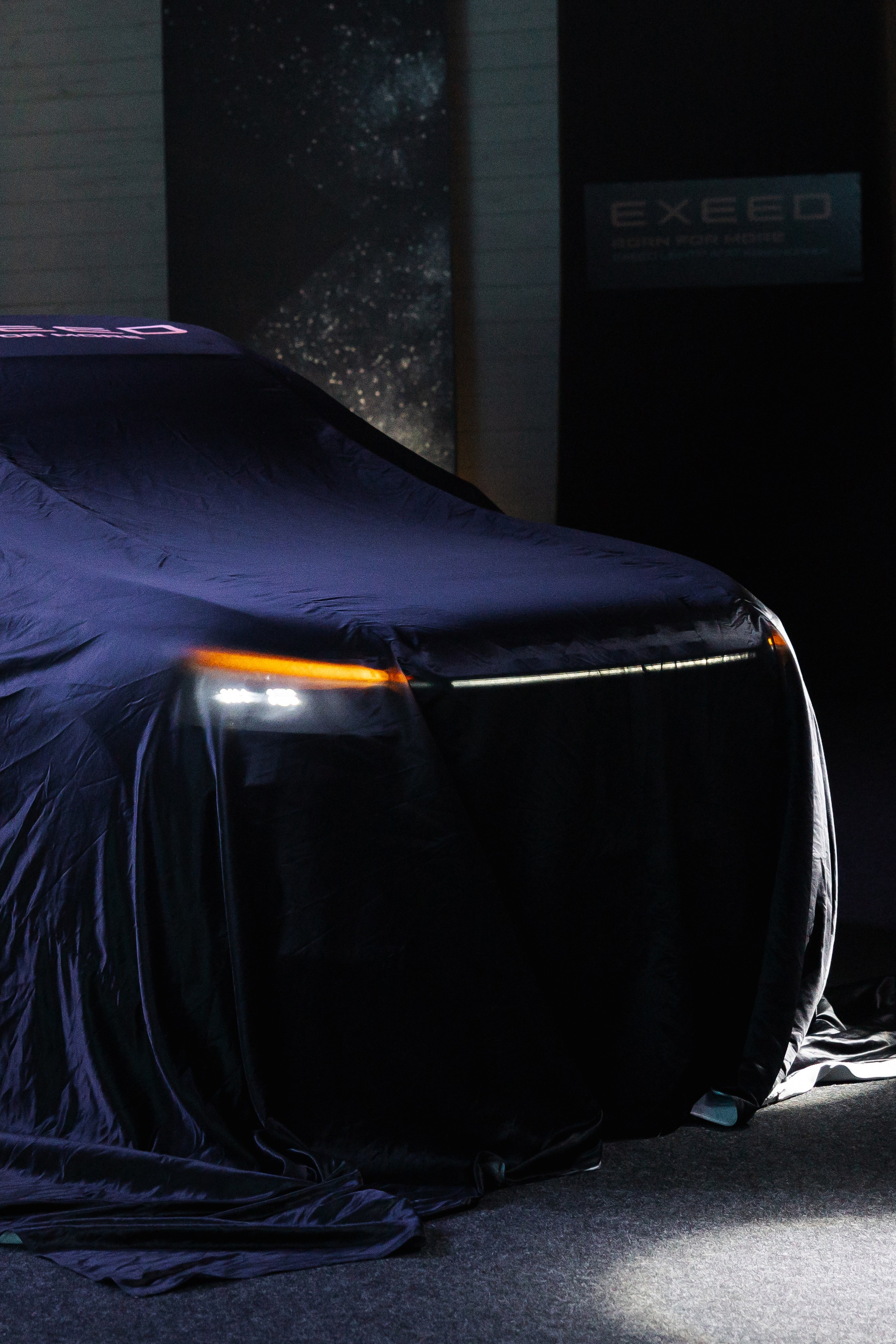 Презентация EXEED VX. Свадебный и репортажный фотограф в Москве Владимир Сергеев | Naysaikolo