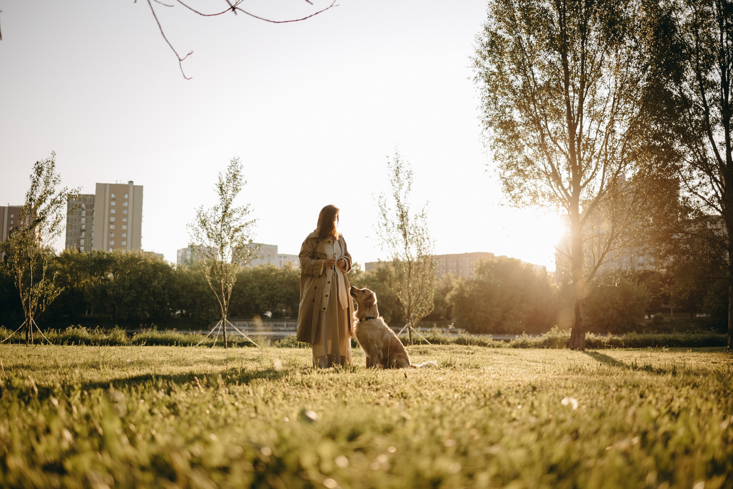 Пенни и ребята. Фотограф — Анималист | Санкт-Петербург