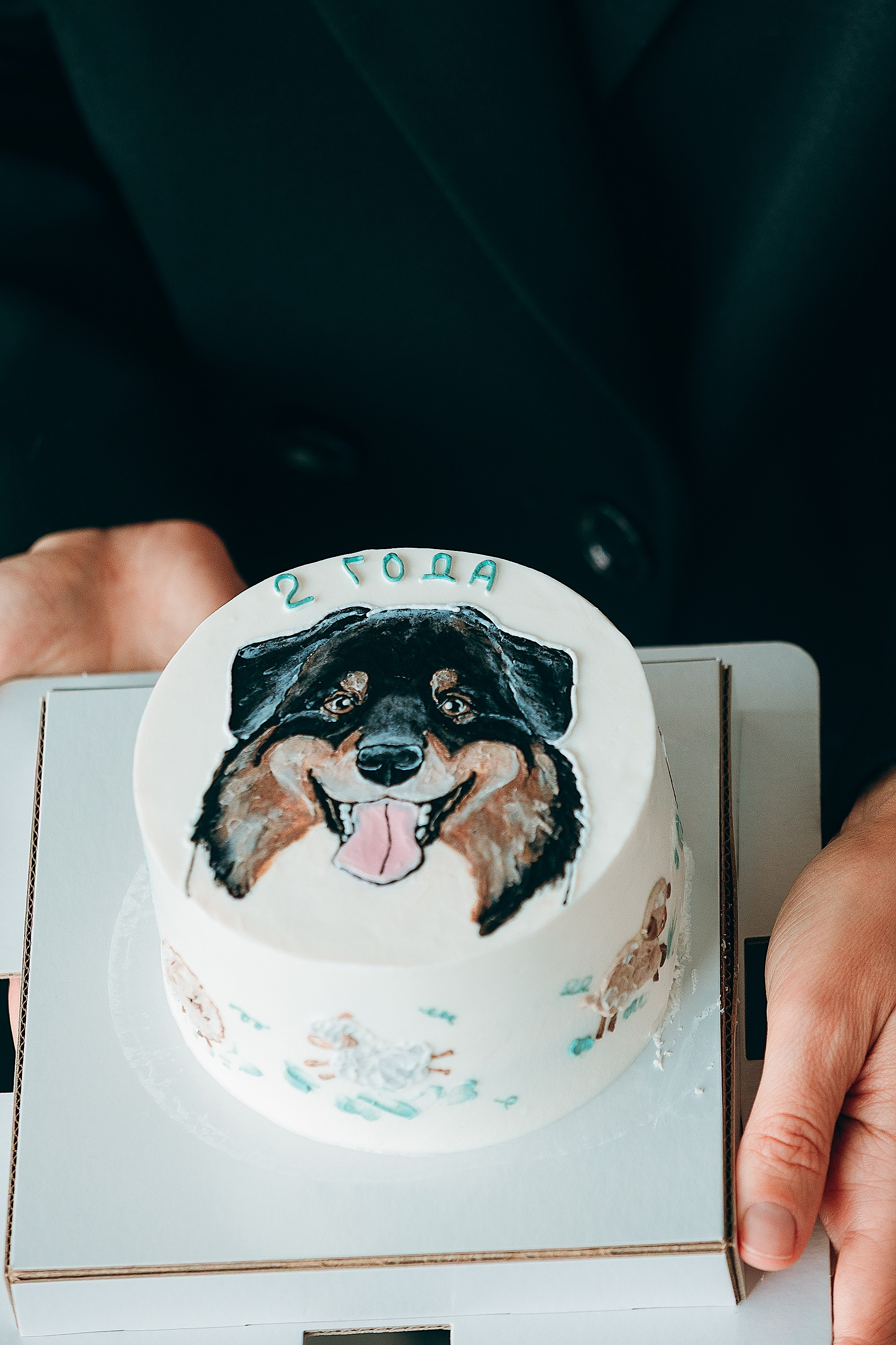 День рождения Рея. Фотограф. Фотограф-анималист. Москва