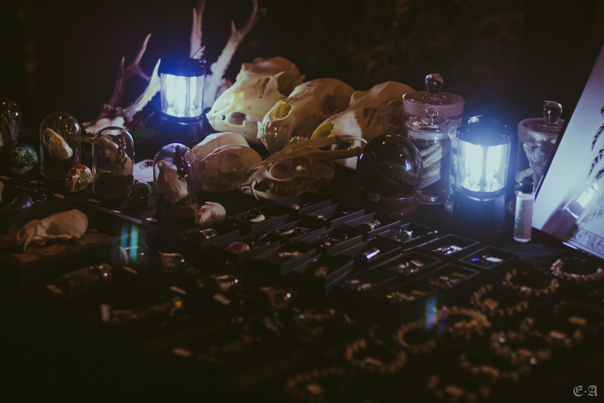 Фестиваль MABON 2021. Фотограф Ellairen