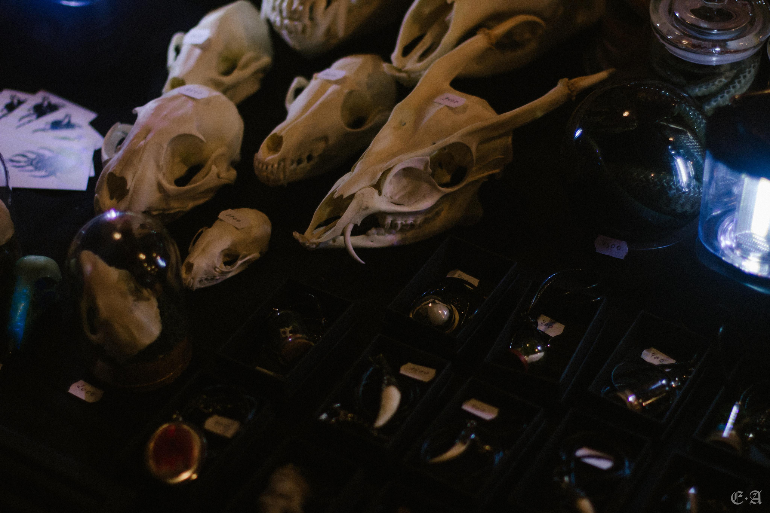 Фестиваль MABON 2021. Фотограф Ellairen