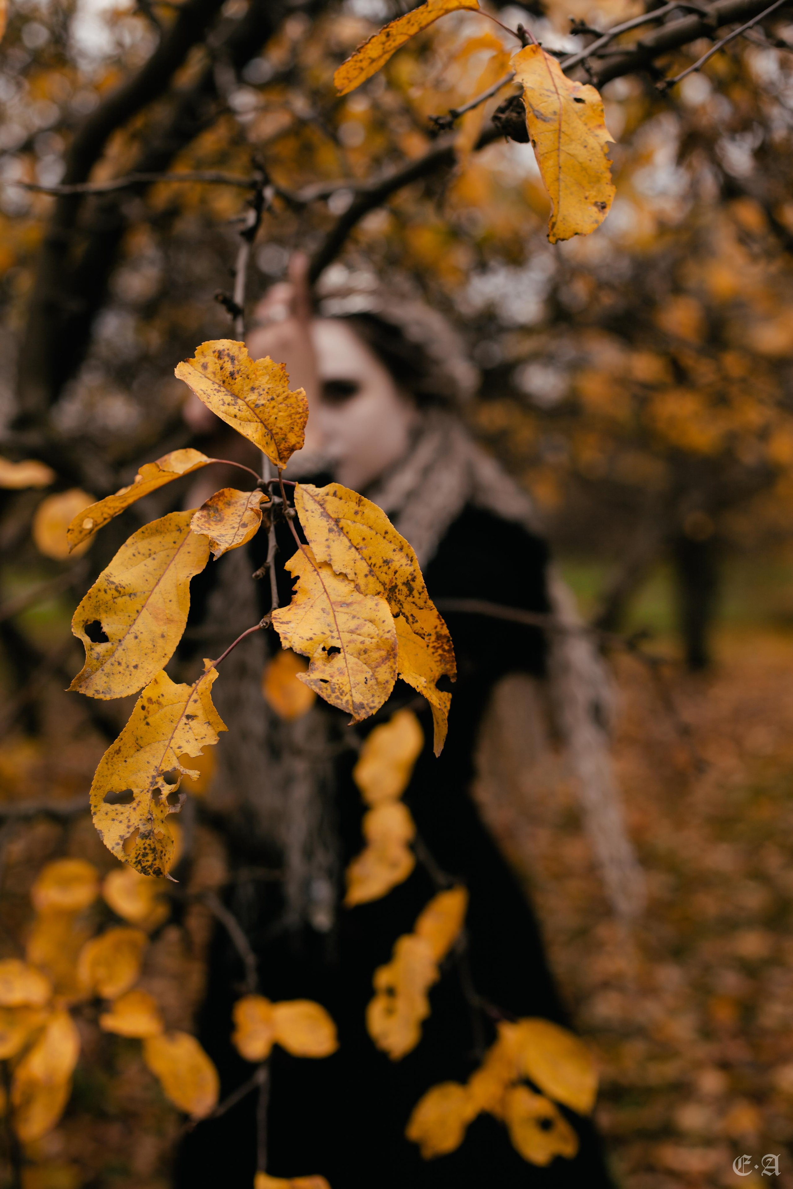 Её величество Хель. Фотограф Ellairen