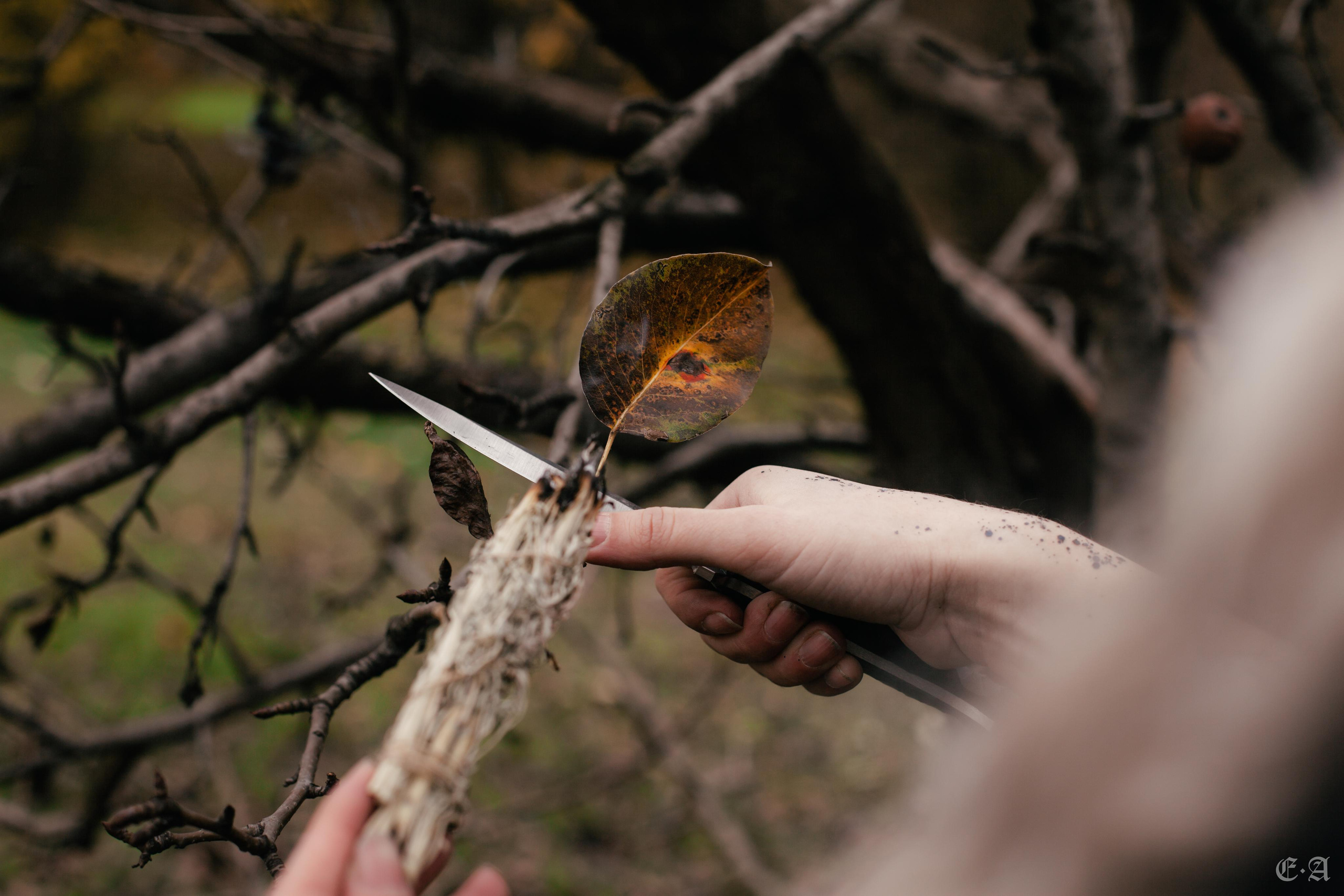 Её величество Хель. Фотограф Ellairen