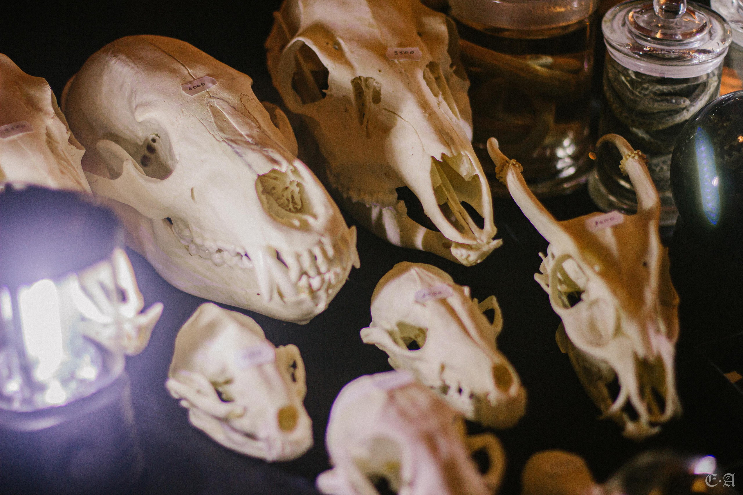 Фестиваль MABON 2021. Фотограф Ellairen