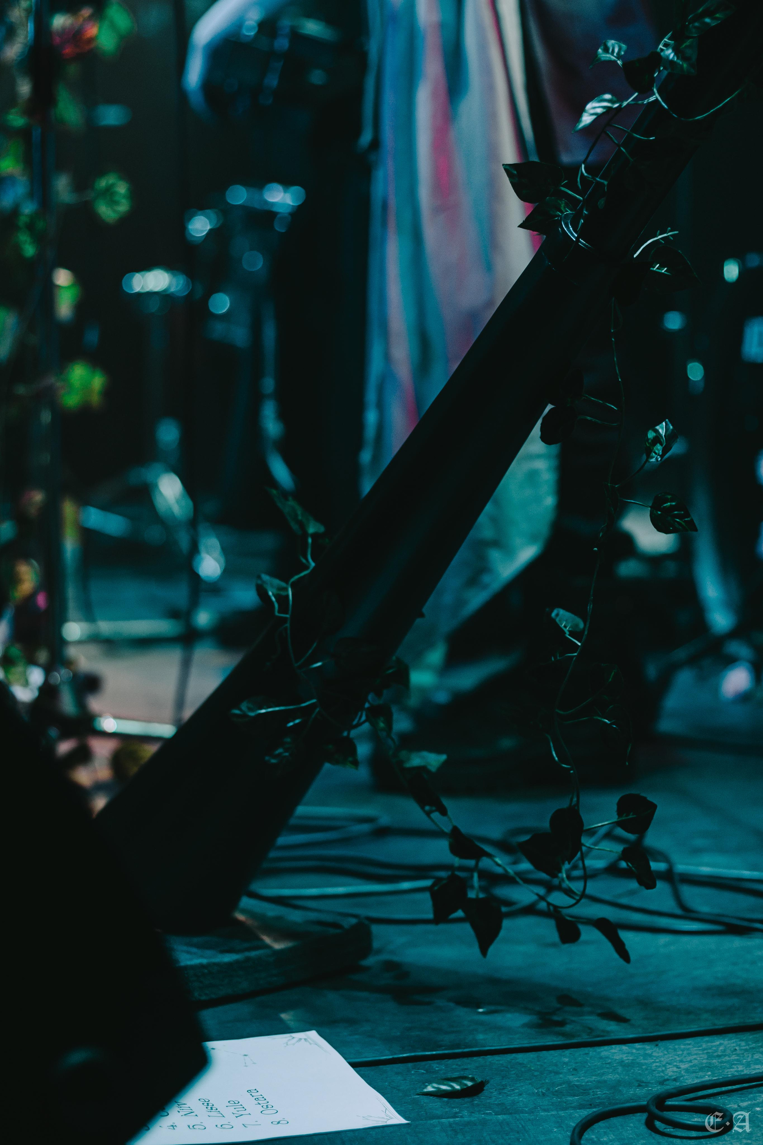 Фестиваль MABON 2021. Фотограф Ellairen