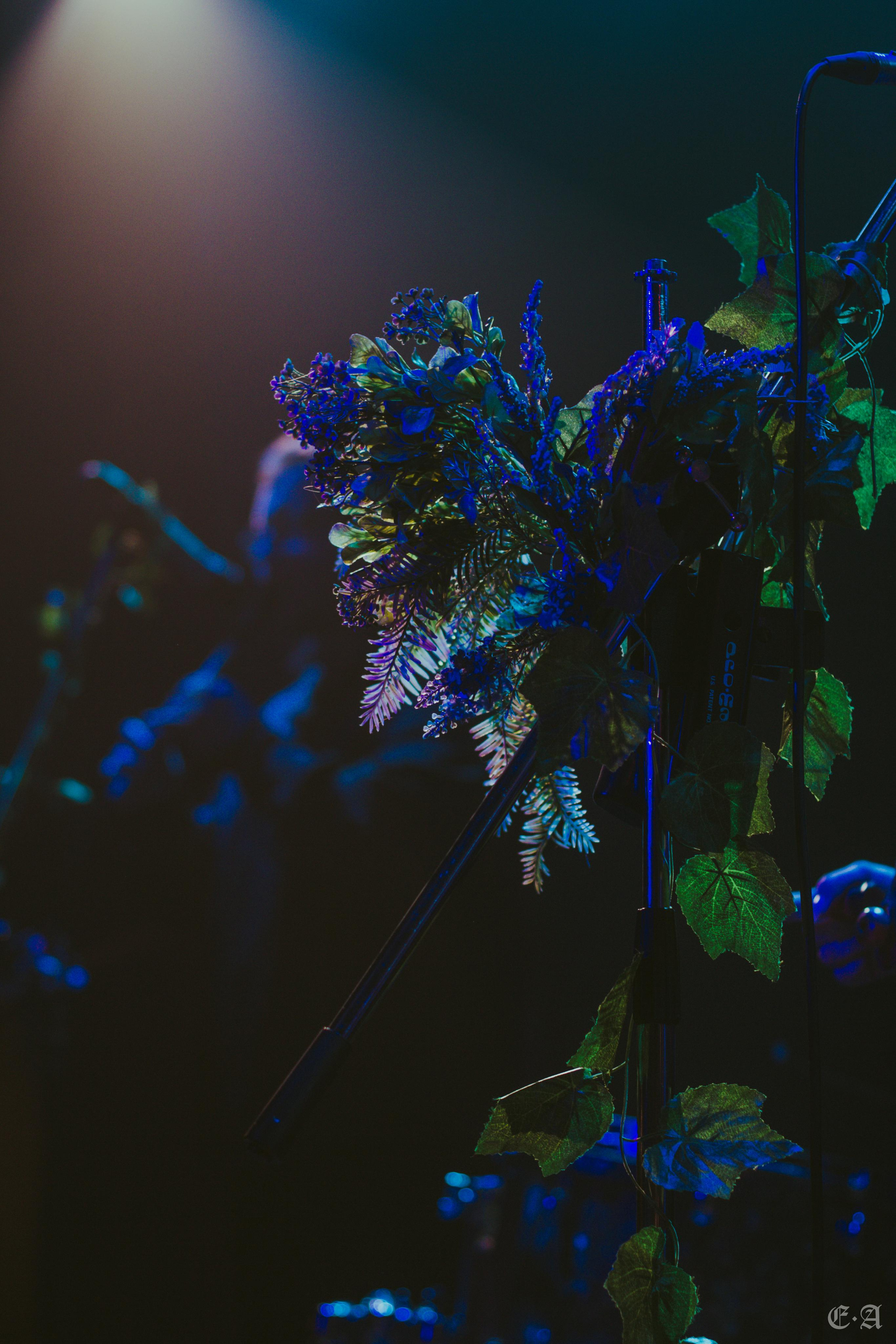 Фестиваль MABON 2021. Фотограф Ellairen