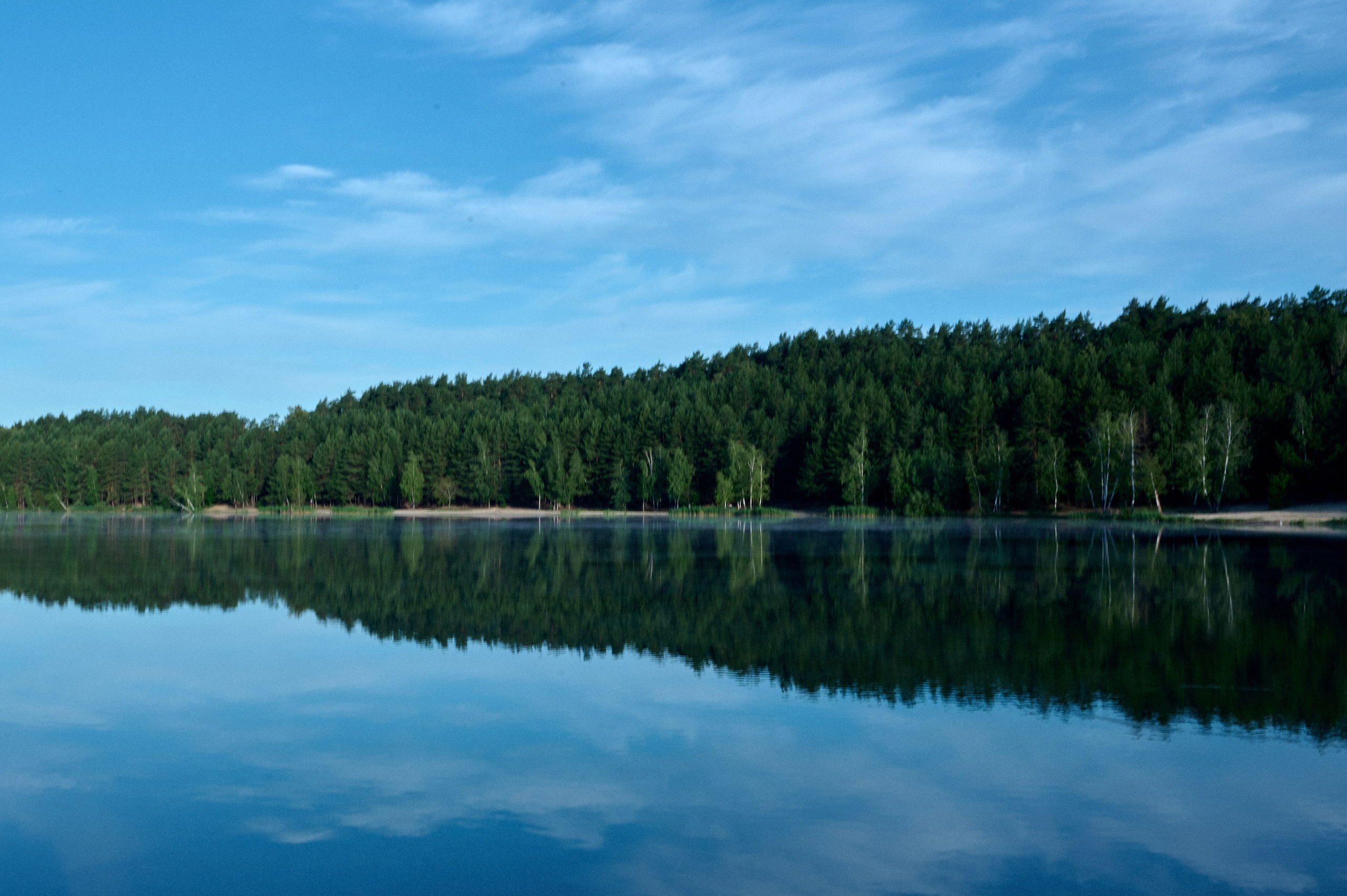 Летняя история. Анна Гончарова свадебный и репортажный фотограф в Москве