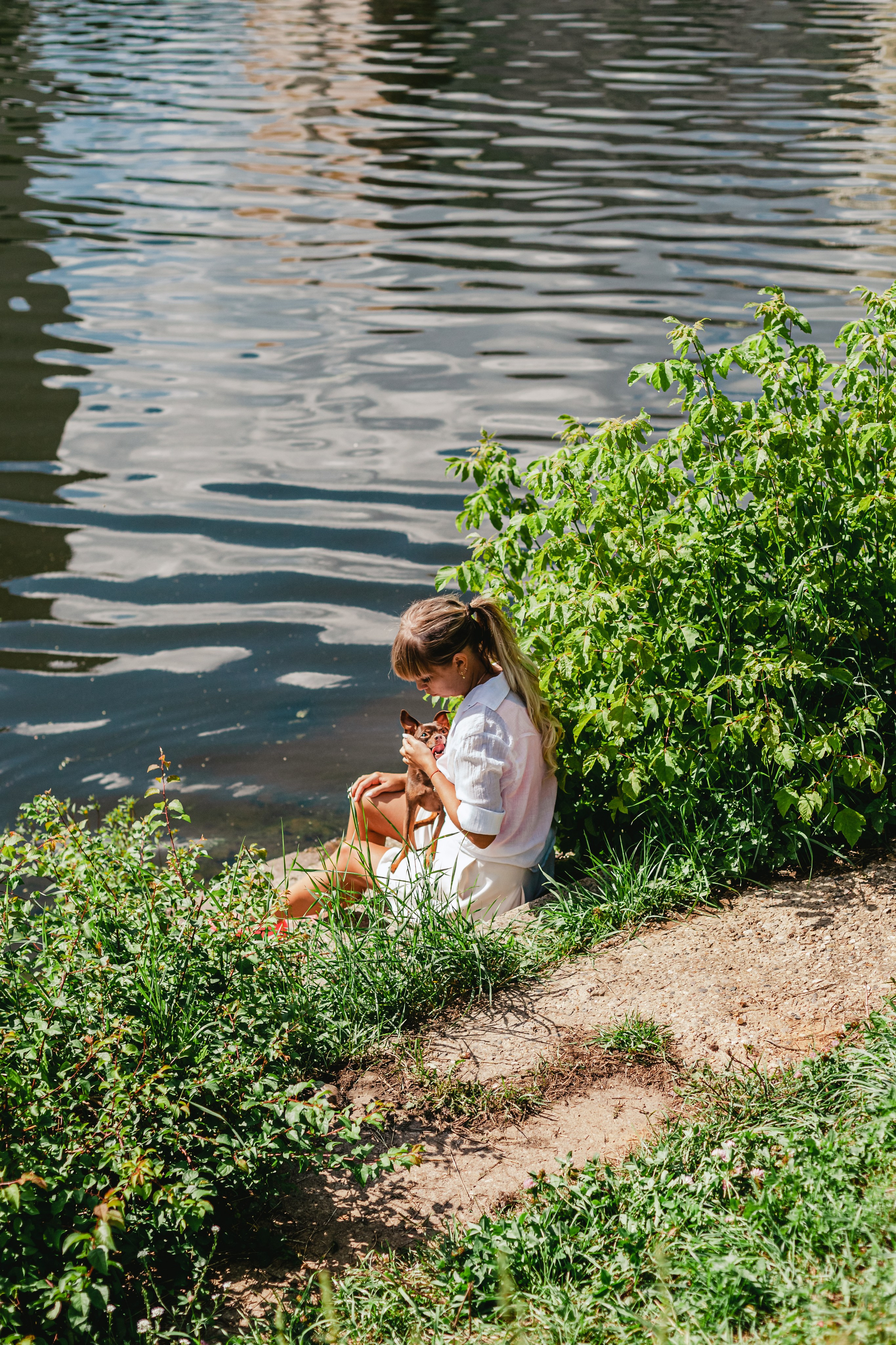 Восточный мост. Фотограф-анималист Татьяна Степанова