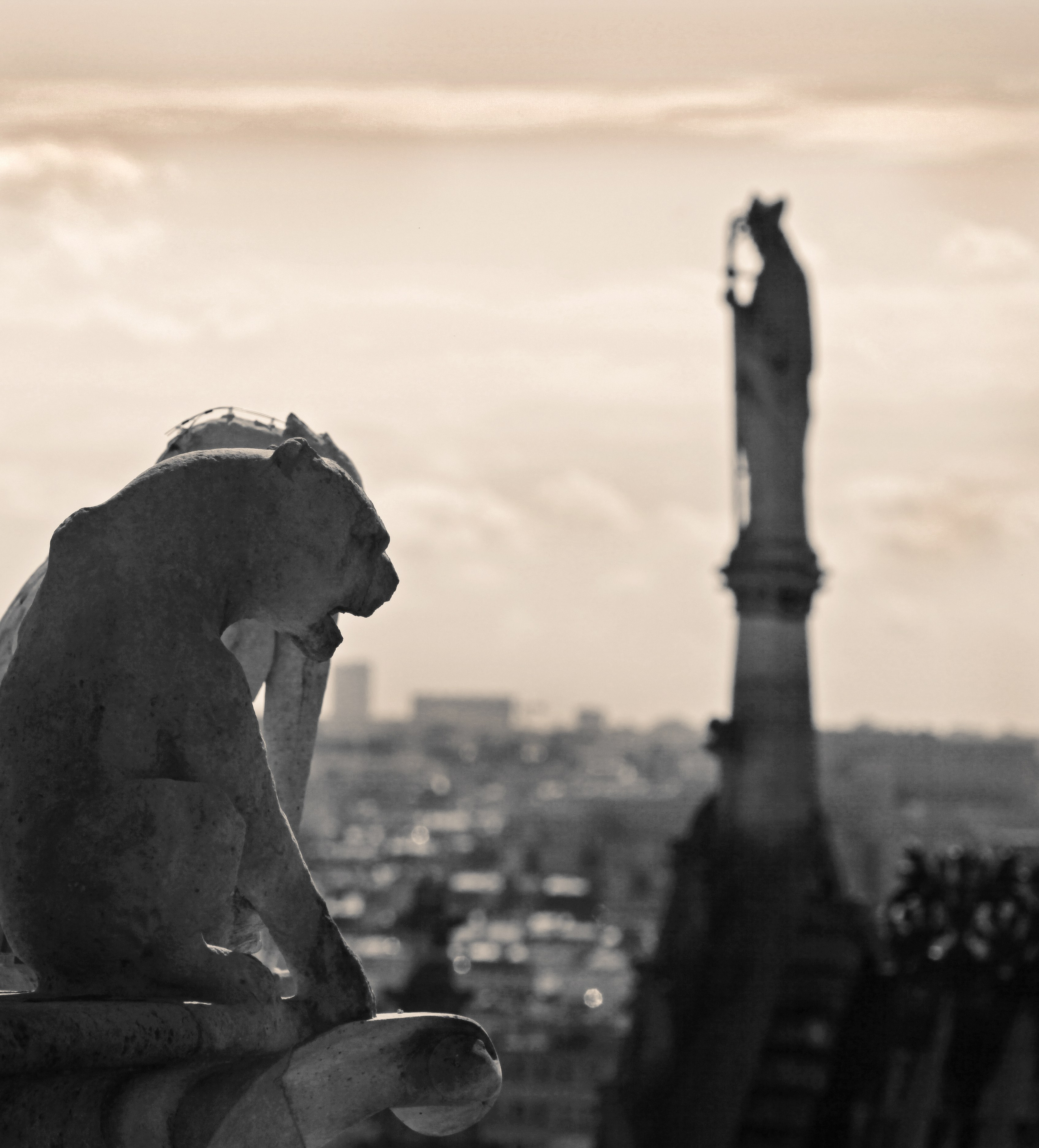 Париж. Фотография, ретушь, сканирование, восстановление старых фото, интерьерная съёмка, студия. Данилов Александр, Москва