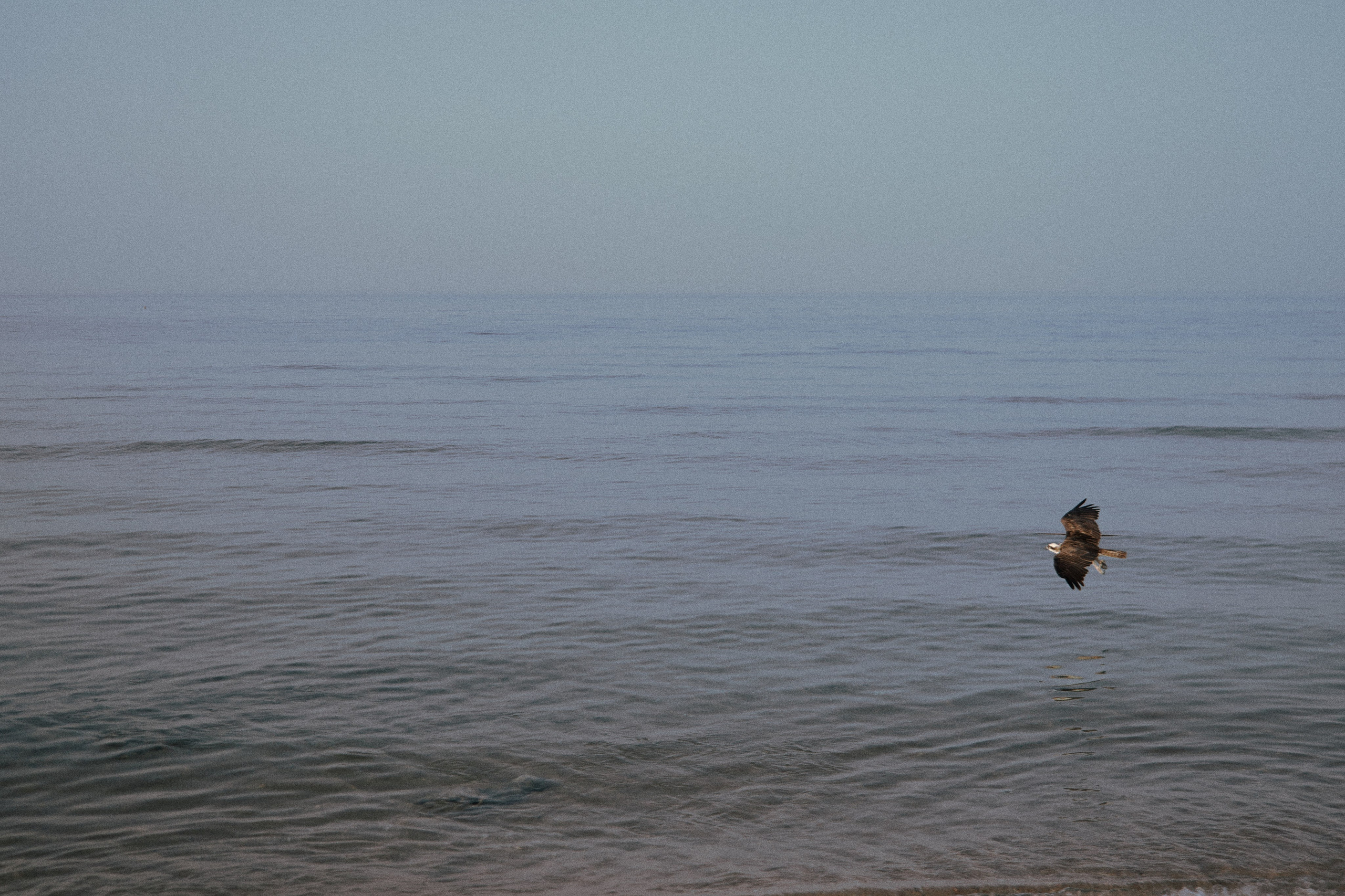 Улица горизонтальная. Jorgis — фотограф в Хургаде / обучение фотографии