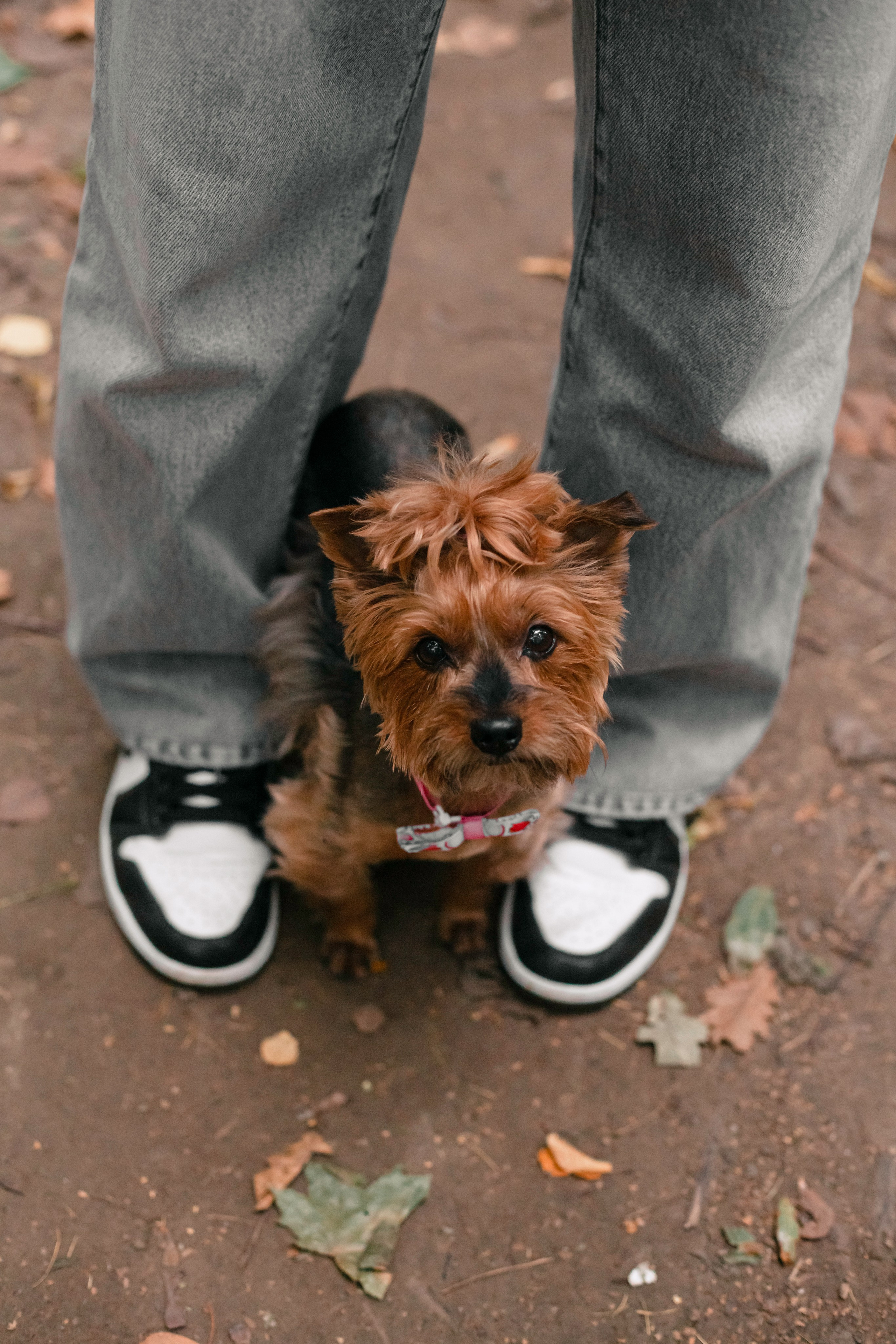 Катя и Моня. Фотограф-анималист Татьяна Степанова