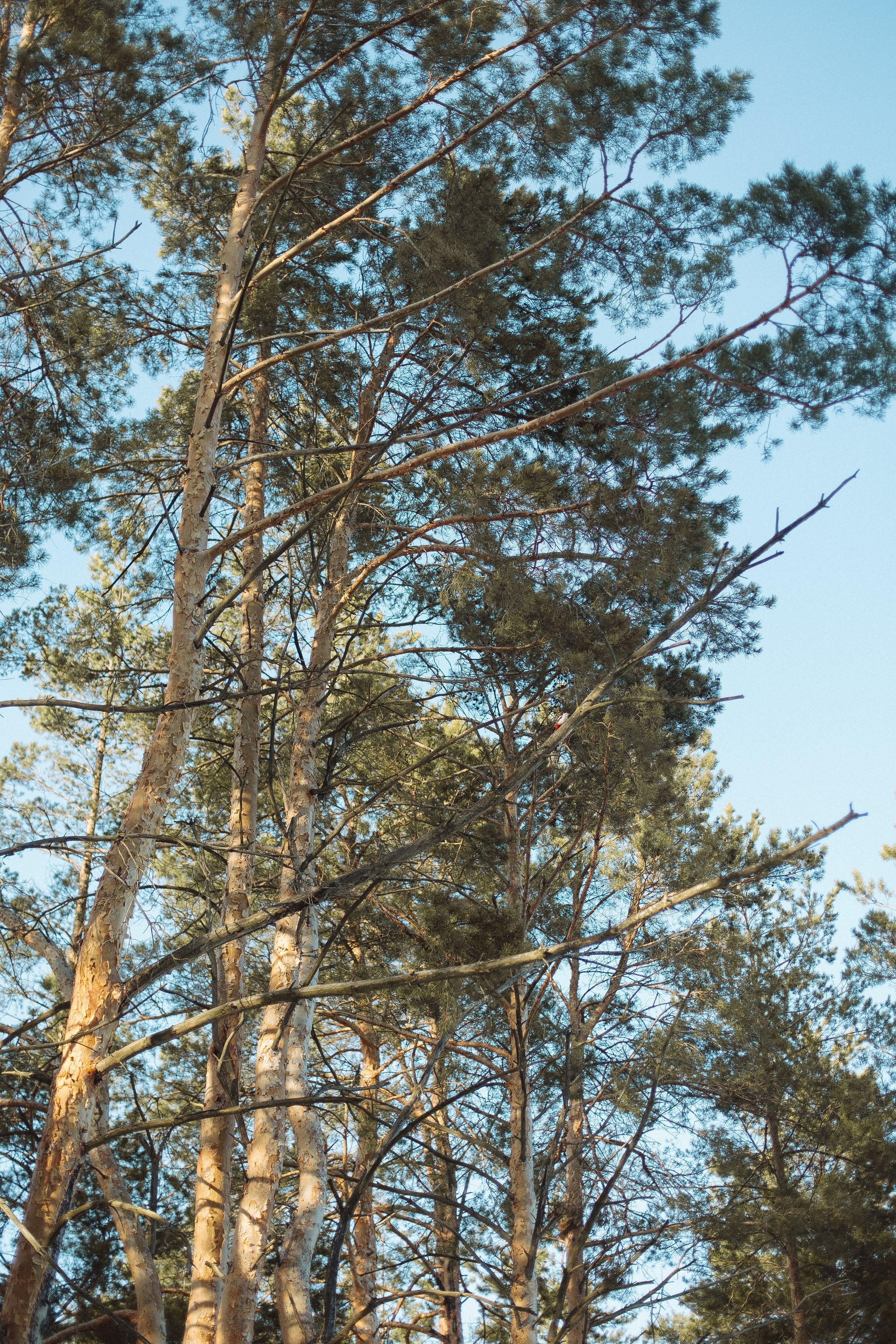 Экопарк ПОЛЯНЫ. Главная