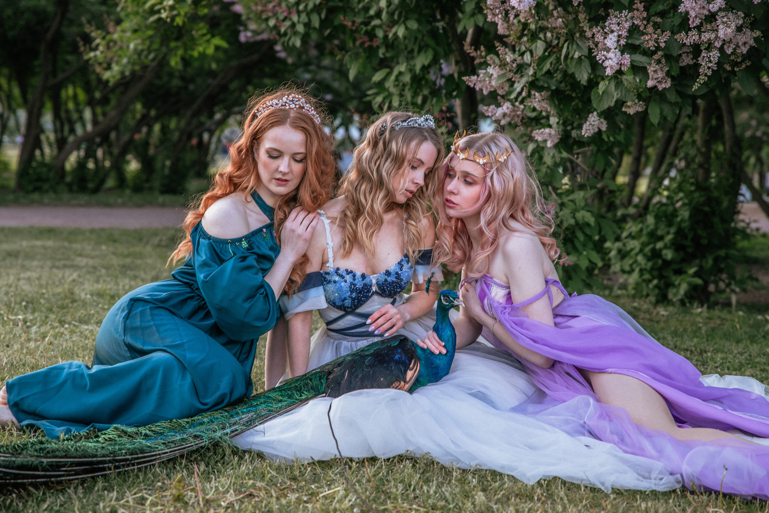 Павлин. Elena Sova — семейный и женский фотограф в Санкт-Петербурге