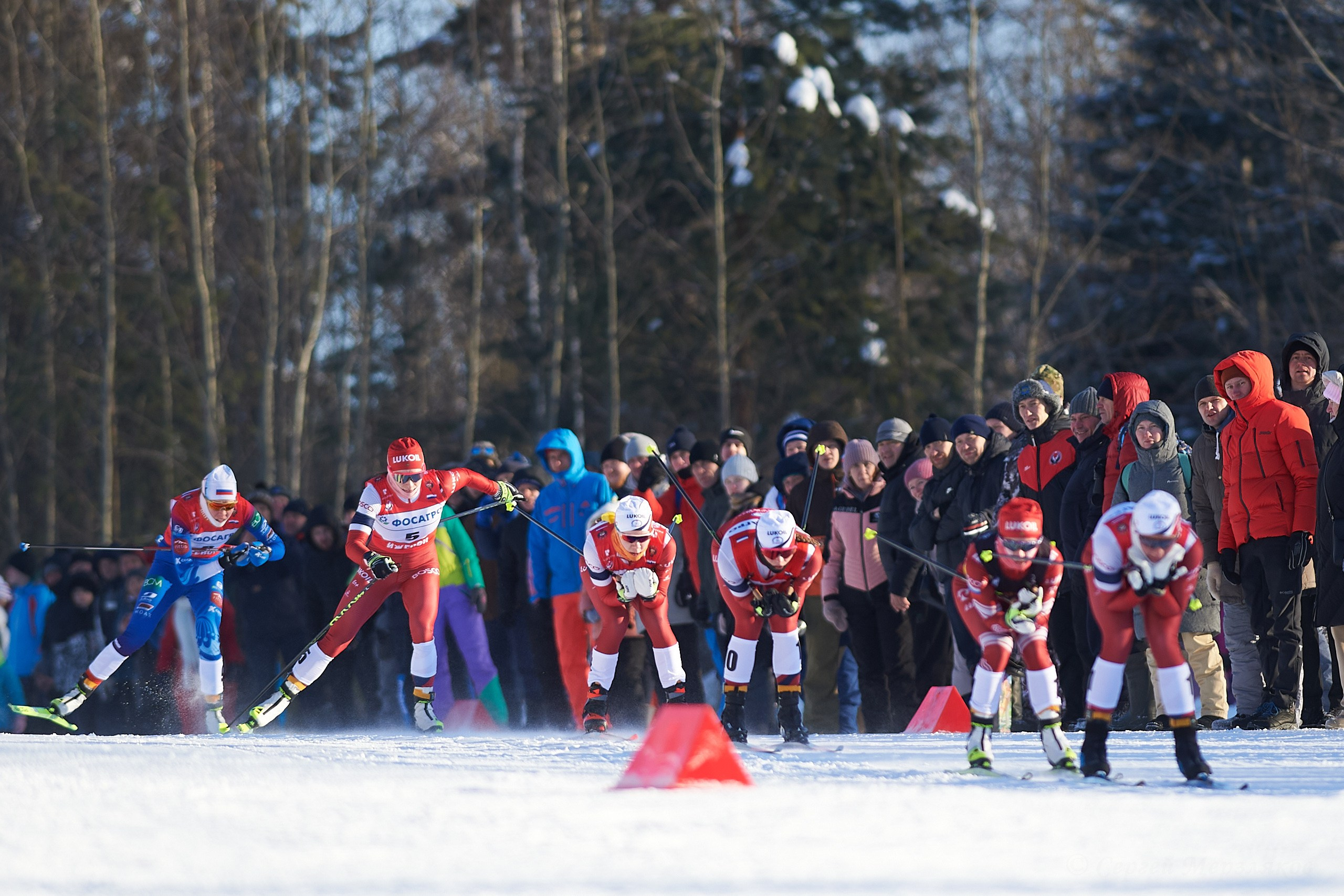 VI этап ФосАгро Кубка России по лыжным гонкам. Спринт. Ижевск 25.01.2025. Спортивный репортажный фотограф в Ижевске Сергей Мерзляков