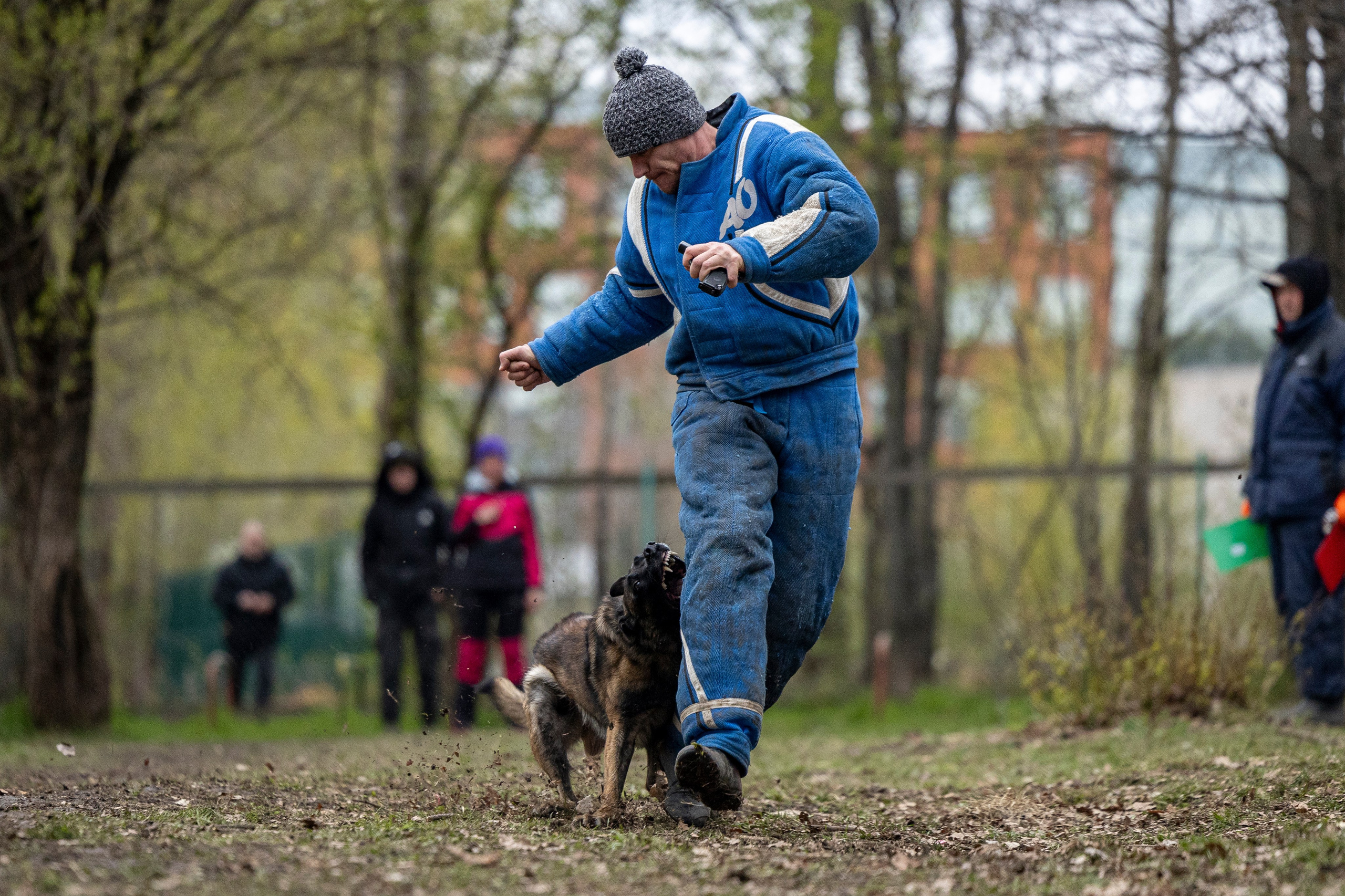 Квалификационные состязания по мондьорингу г. Вологда 11.05.24. Фотограф-анималист Анна Маринич