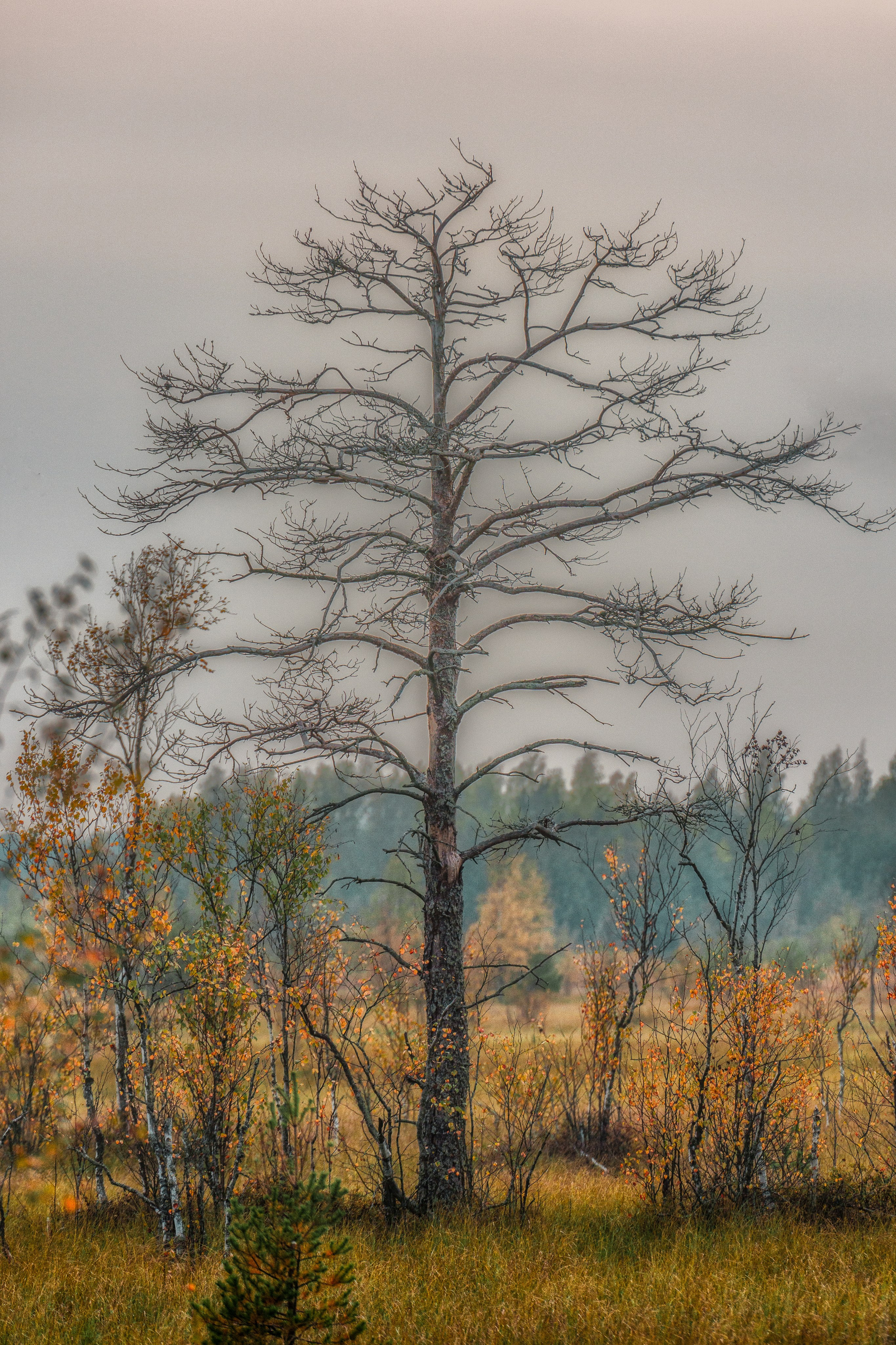 Осенняя Карелия