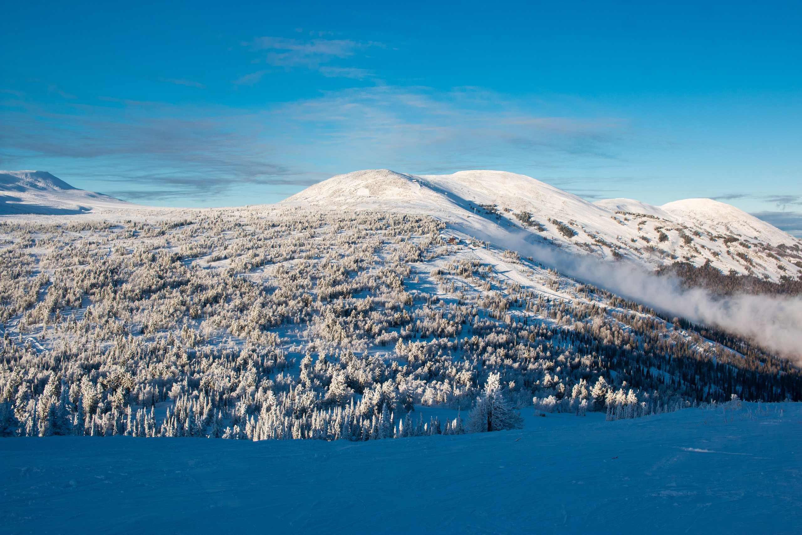 Татьяна и Иван. Свадебный и семейный фотограф в Новокузнецке Иван Иванов