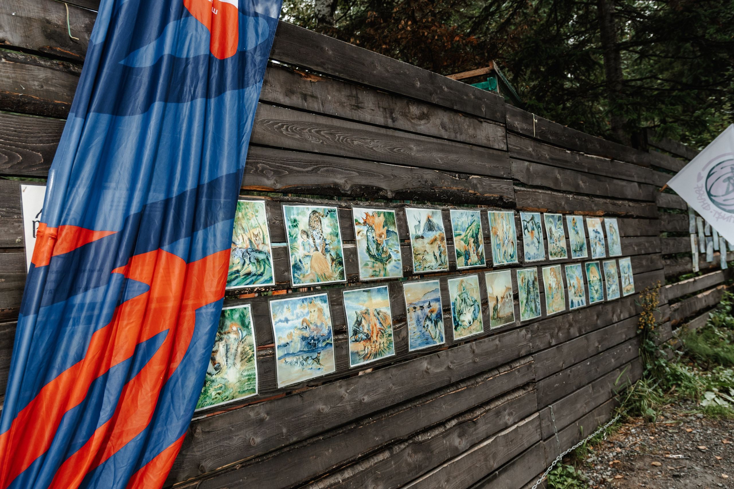 Дог-треккинг