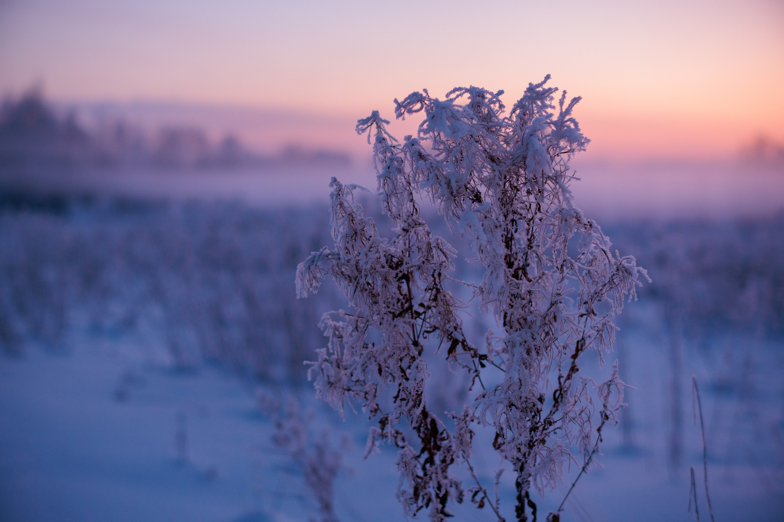 Пейзаж (вич рн) Закат. Владимир Петухов — фотограф в г. Кинешма. Оператор FPV