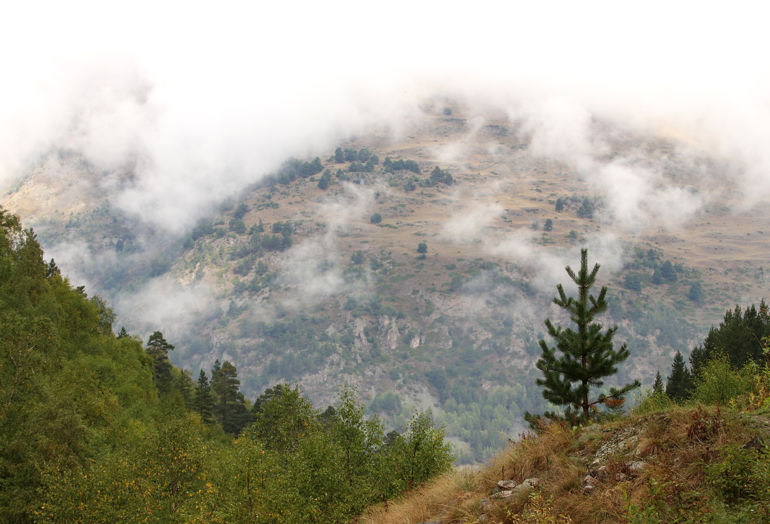 Приэльбрусье. Сентябрь 2024. Путешественник-фотограф из Санкт-Петербурга Татьяна Свистулина