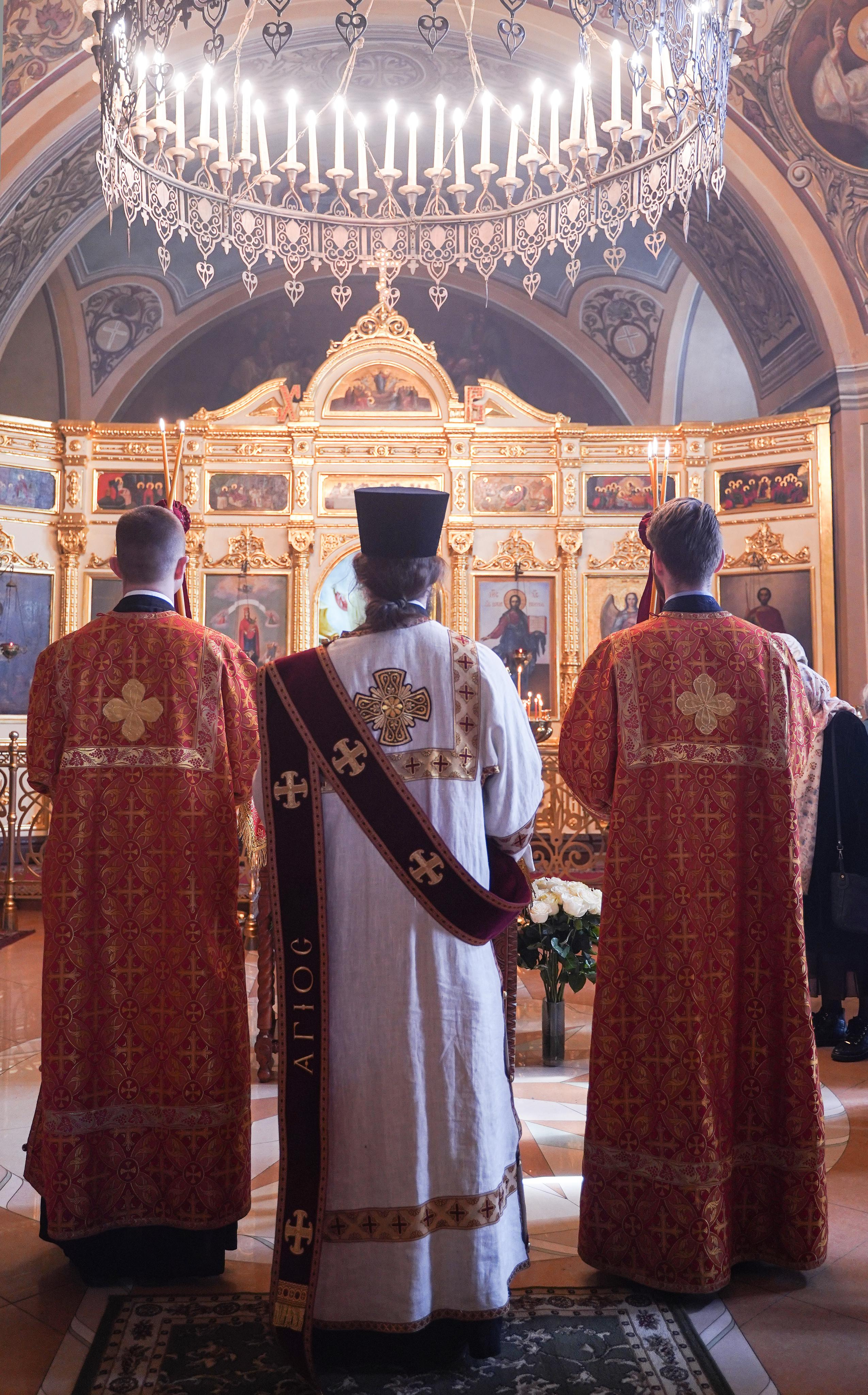 Нечаянная Радость. Ульяна Палама: Мир через призму фотокамеры