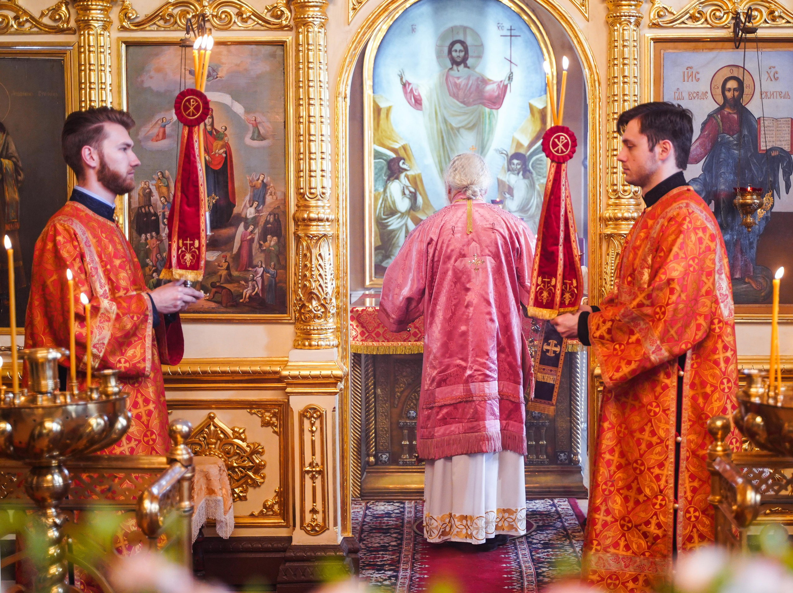 Нечаянная Радость. Ульяна Палама: Мир через призму фотокамеры