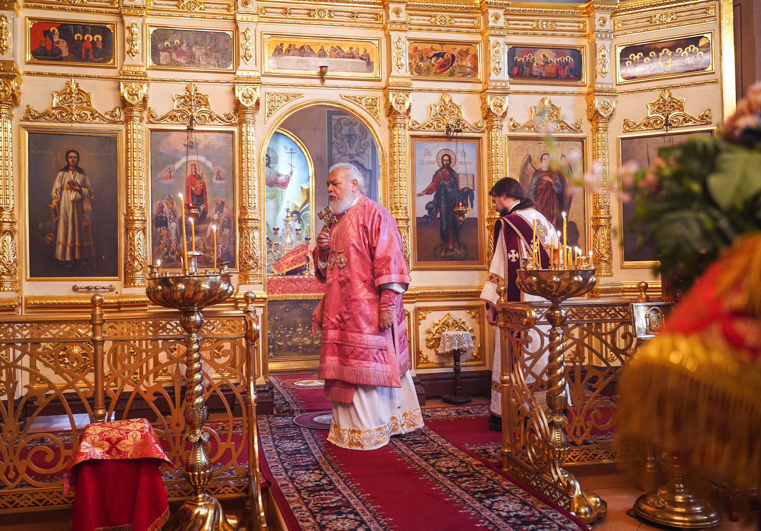 Нечаянная Радость. Ульяна Палама: Мир через призму фотокамеры