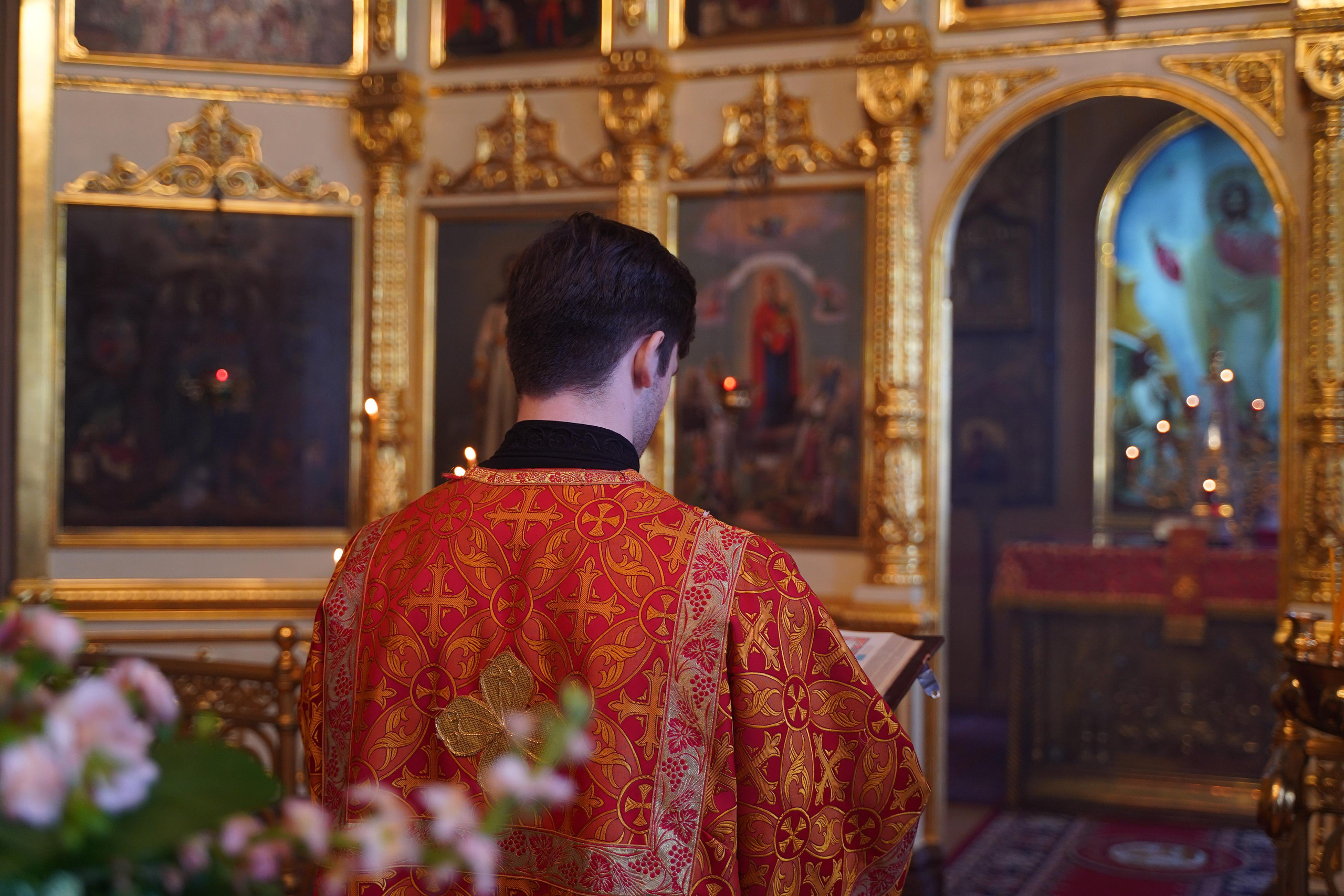 Нечаянная Радость. Ульяна Палама: Мир через призму фотокамеры