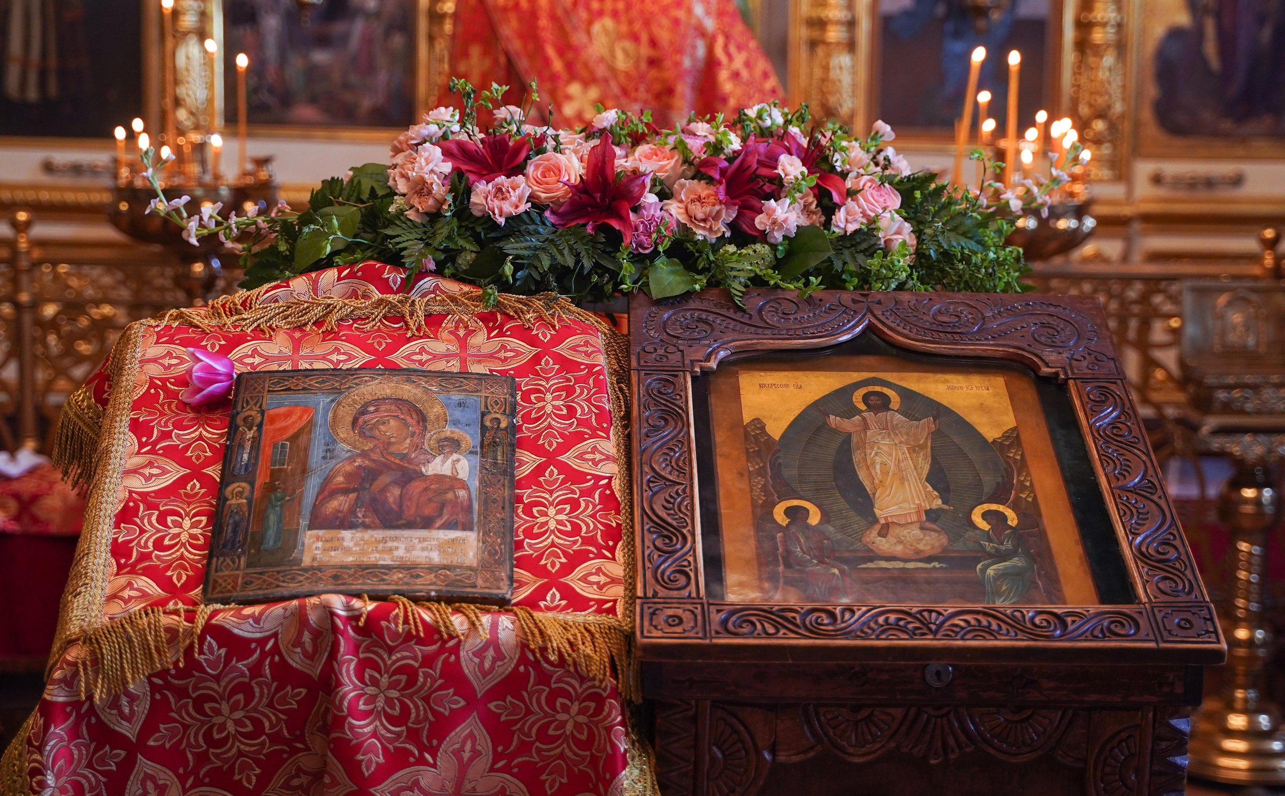 Нечаянная Радость. Ульяна Палама: Мир через призму фотокамеры