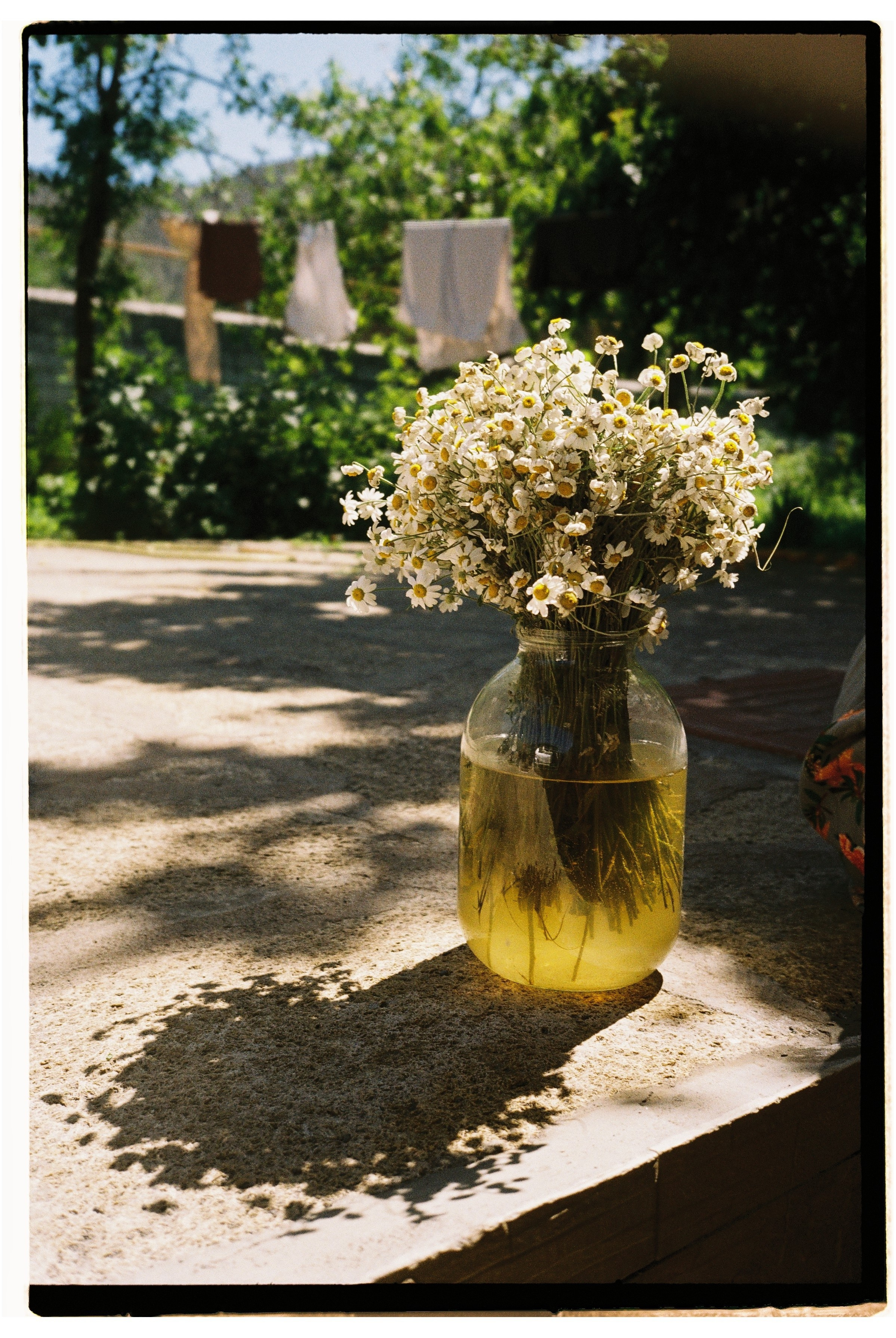 Dagestan II. @tomrus: Рустам Шагиморданов — фотограф