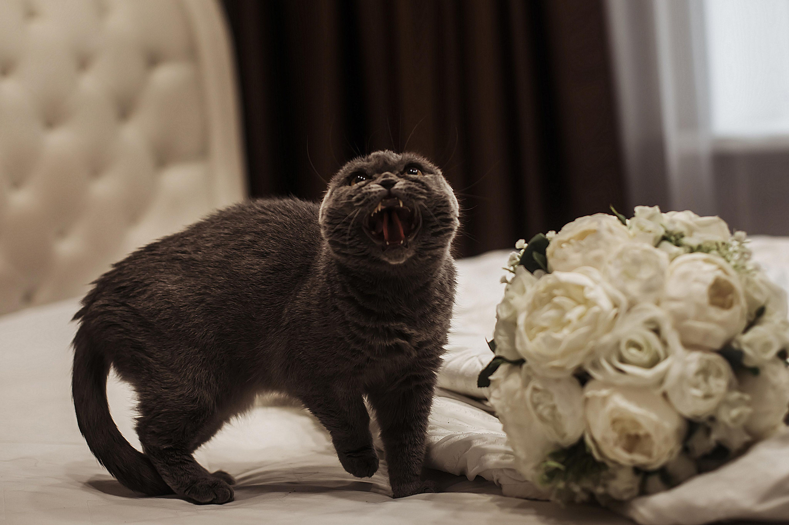 Даниил и Валерия. Студия творческой фото|видеографии KOKOS-FILM