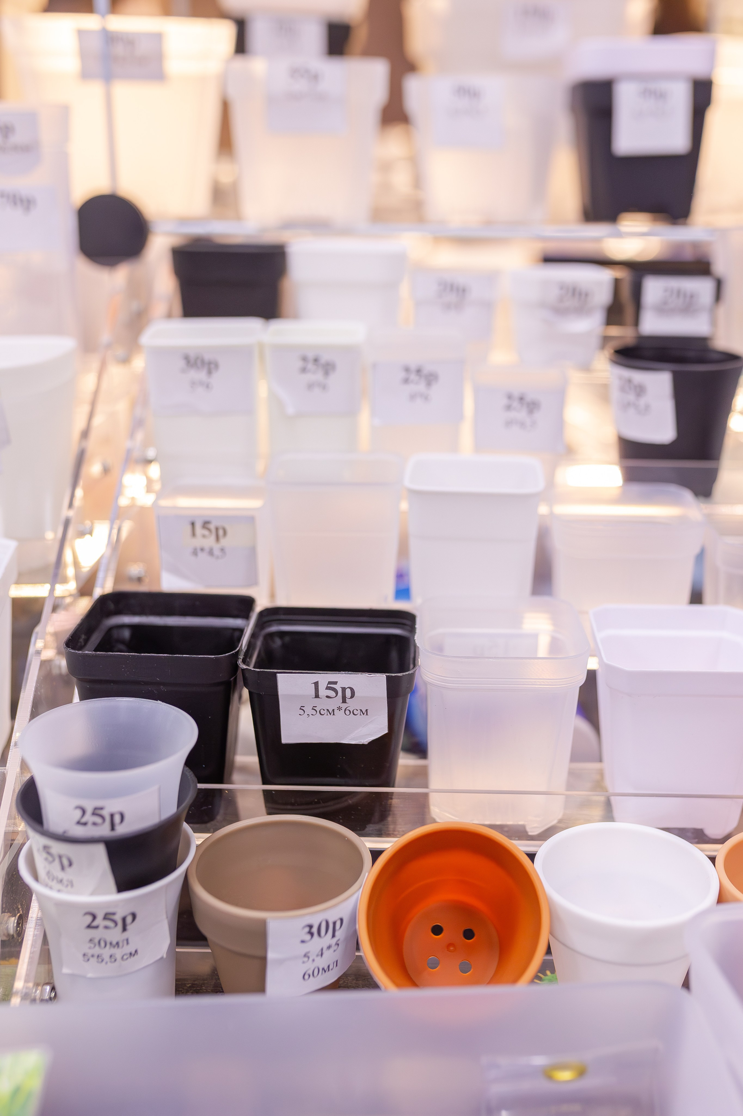 Монстериум апрель 2026. Александра Куликова фотограф, Москва