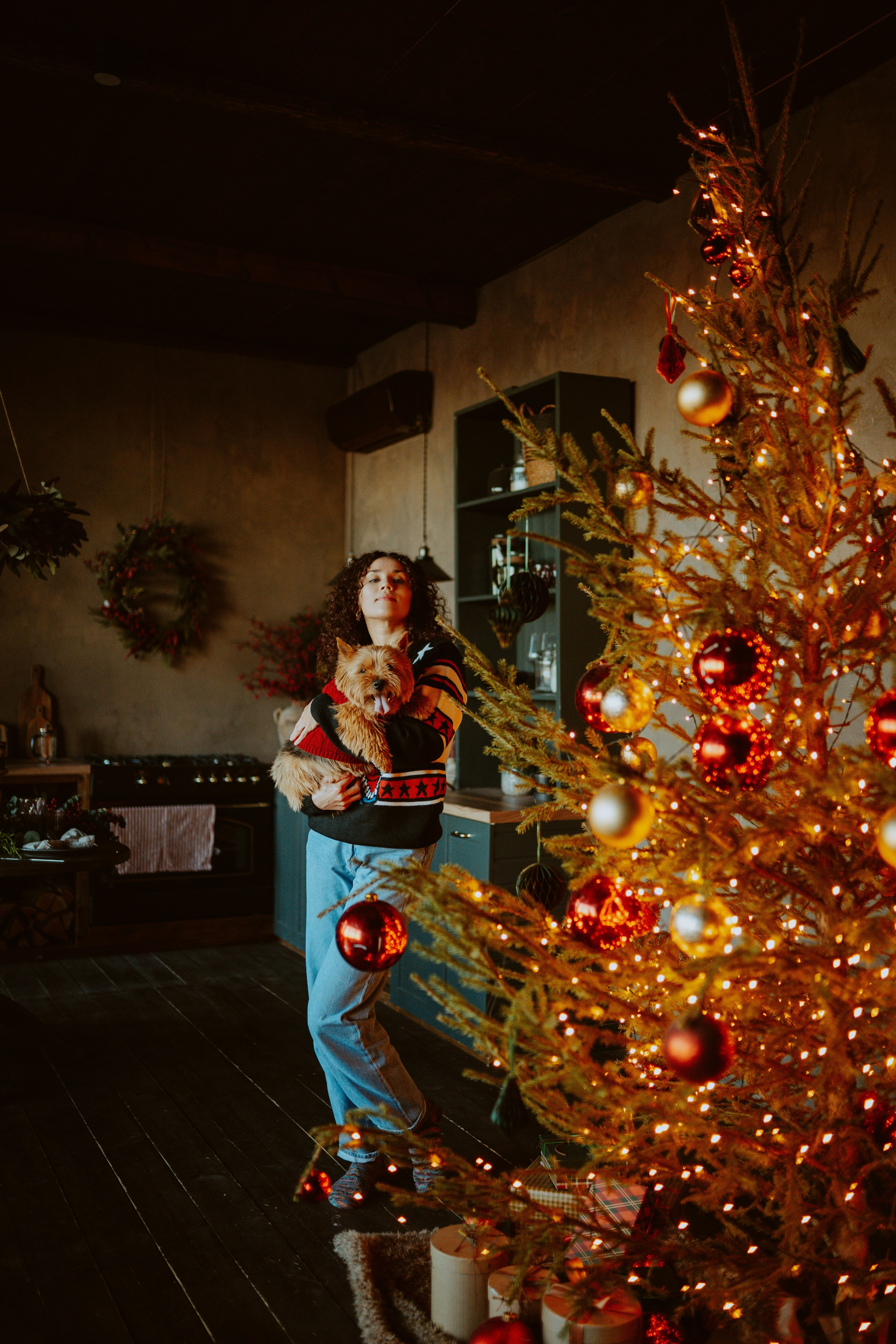 Фотосессия с собакой в студии. Фотограф анималист в Спб недорого Олеся Майорова