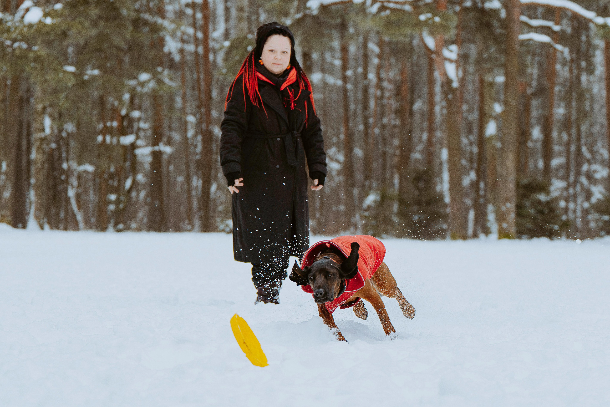 Ольга, Рора и Румпель. Фотограф анималист в Спб недорого Олеся Майорова