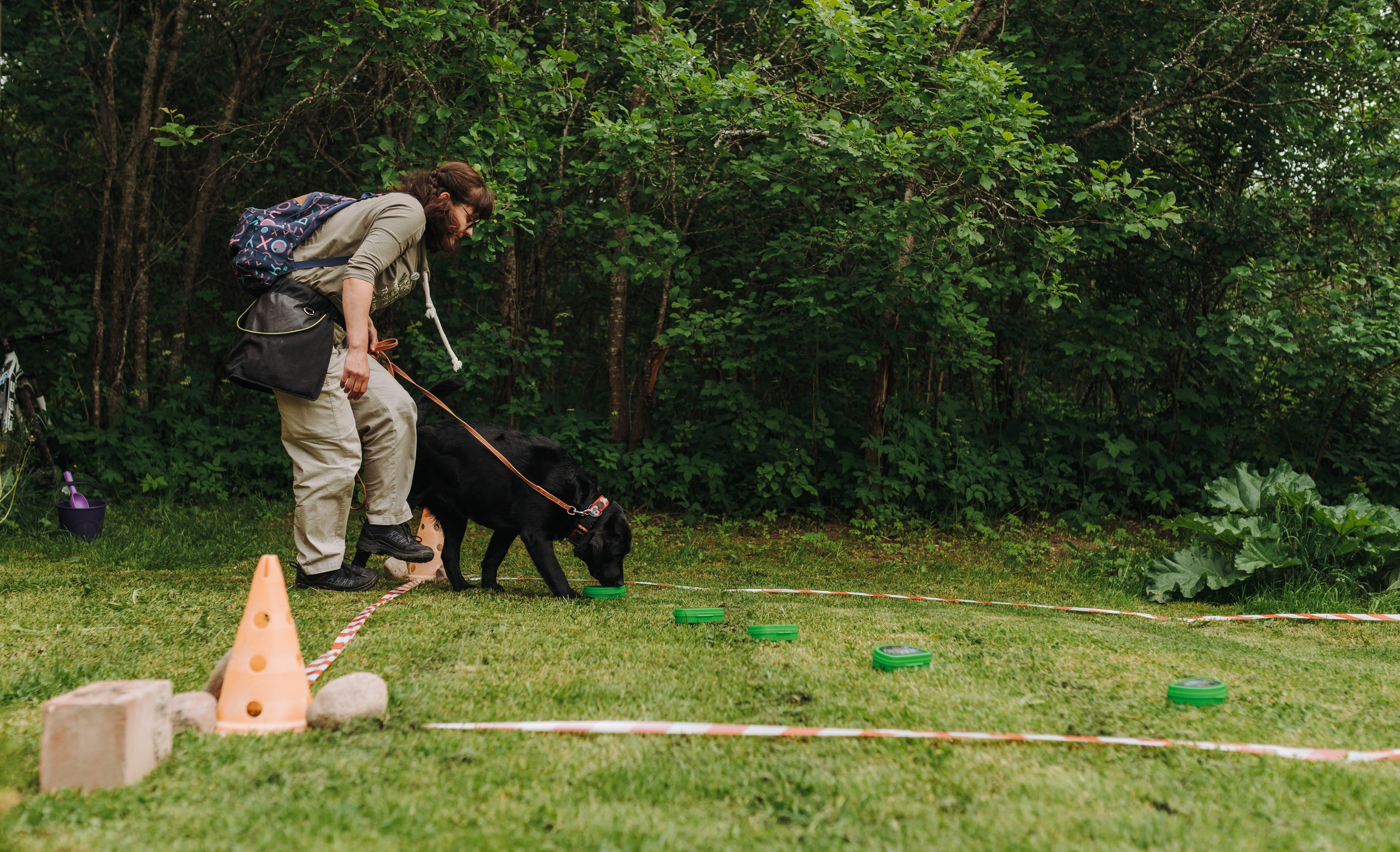 Соревнования по ноузворку. Фотограф анималист в Спб недорого Олеся Майорова