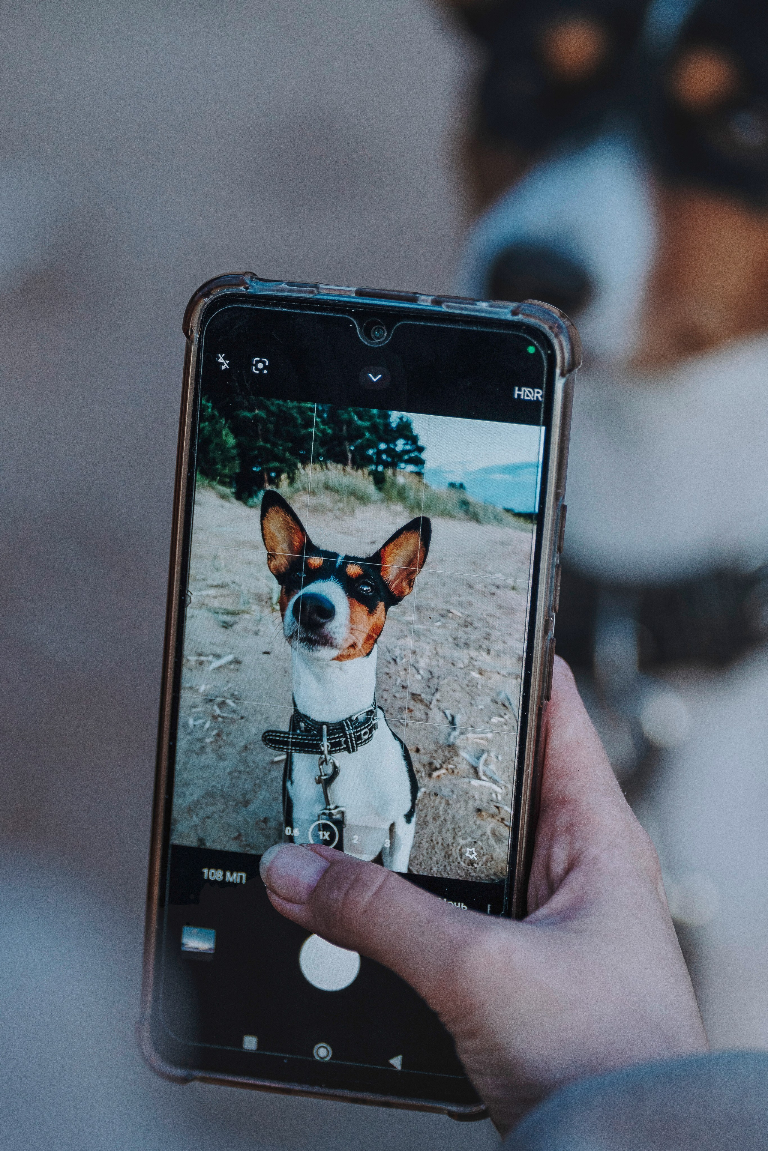 Екатерина и Дива. Фотограф анималист в Спб недорого Олеся Майорова