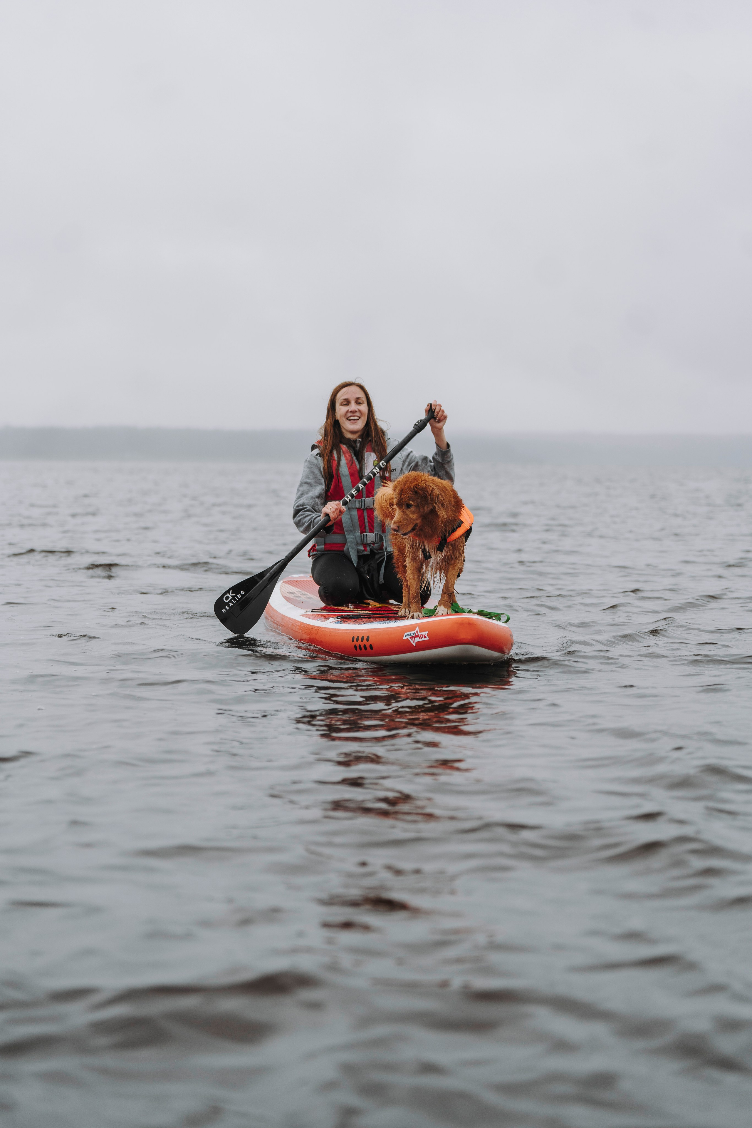 Катание на сапах с собаками. Фотограф анималист в Спб недорого Олеся Майорова