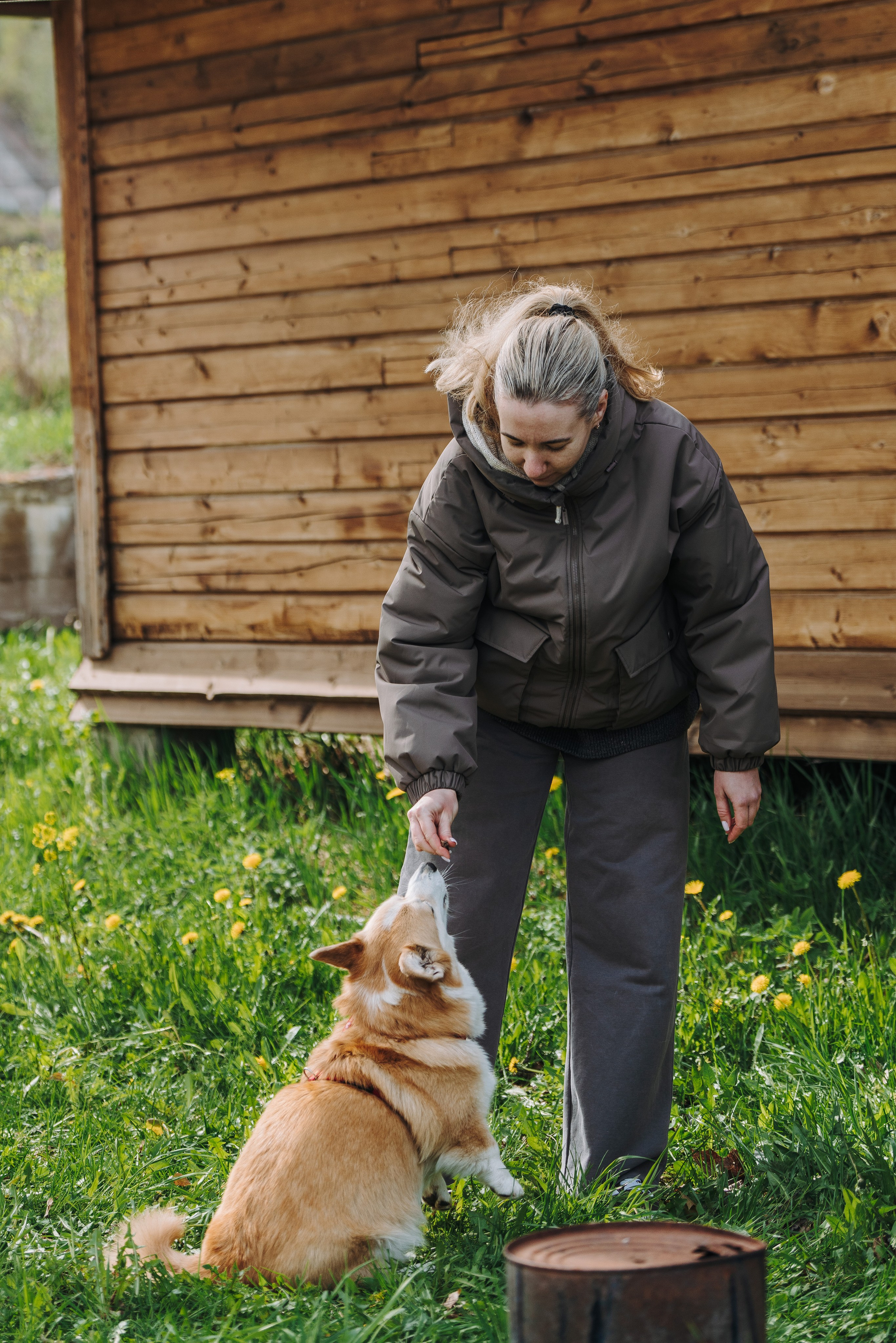 Соревнования по ноузворку в Лосево. Фотограф анималист в Спб недорого Олеся Майорова